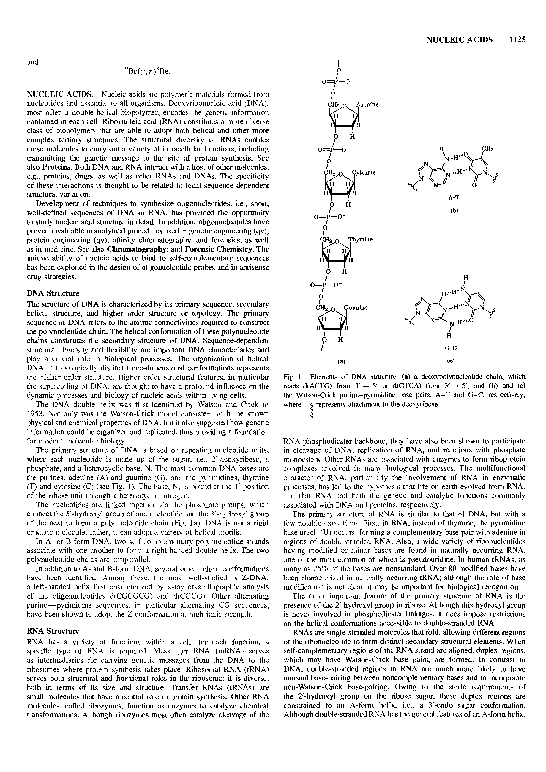 Fig. 1. Elements of DNA. stricture (a) a deoxypolynucleotide chain, which reads d(ACTG) from 3 — 5 or d(GTCA) from 3 — 5 and (b) and (c) the Watson-Crick purine-pyrimidine base pairs, A-T and G-C. respectively, where—s represents aliachinenl lo the deoxyribose...