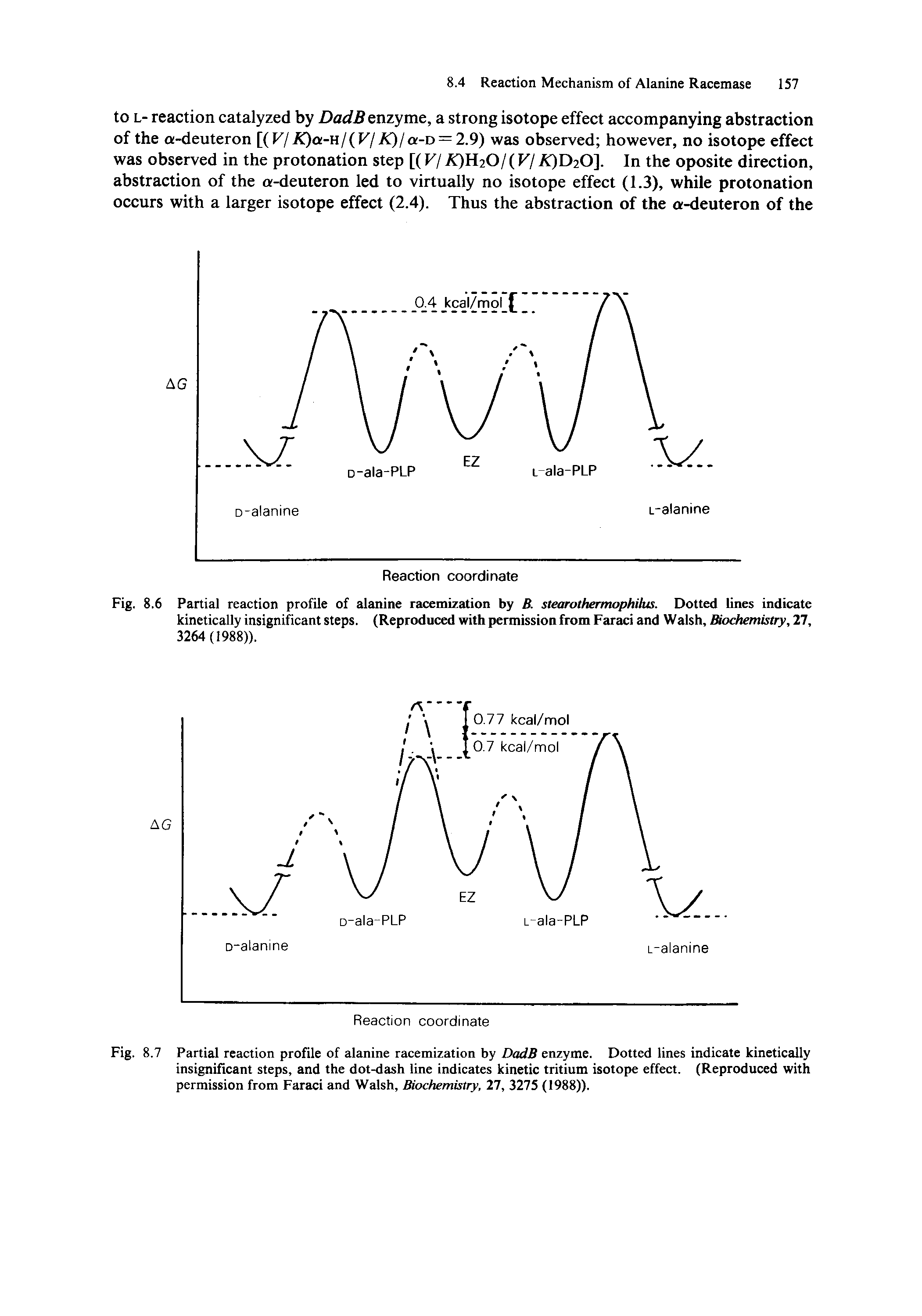 Fig. 8.6 Partial reaction profile of alanine racemization by B. stearothermophilus. Dotted lines indicate kinetically insignificant steps. (Reproduced with permission from Faraci and Walsh, Biochemistry, 27, 3264(1988)).