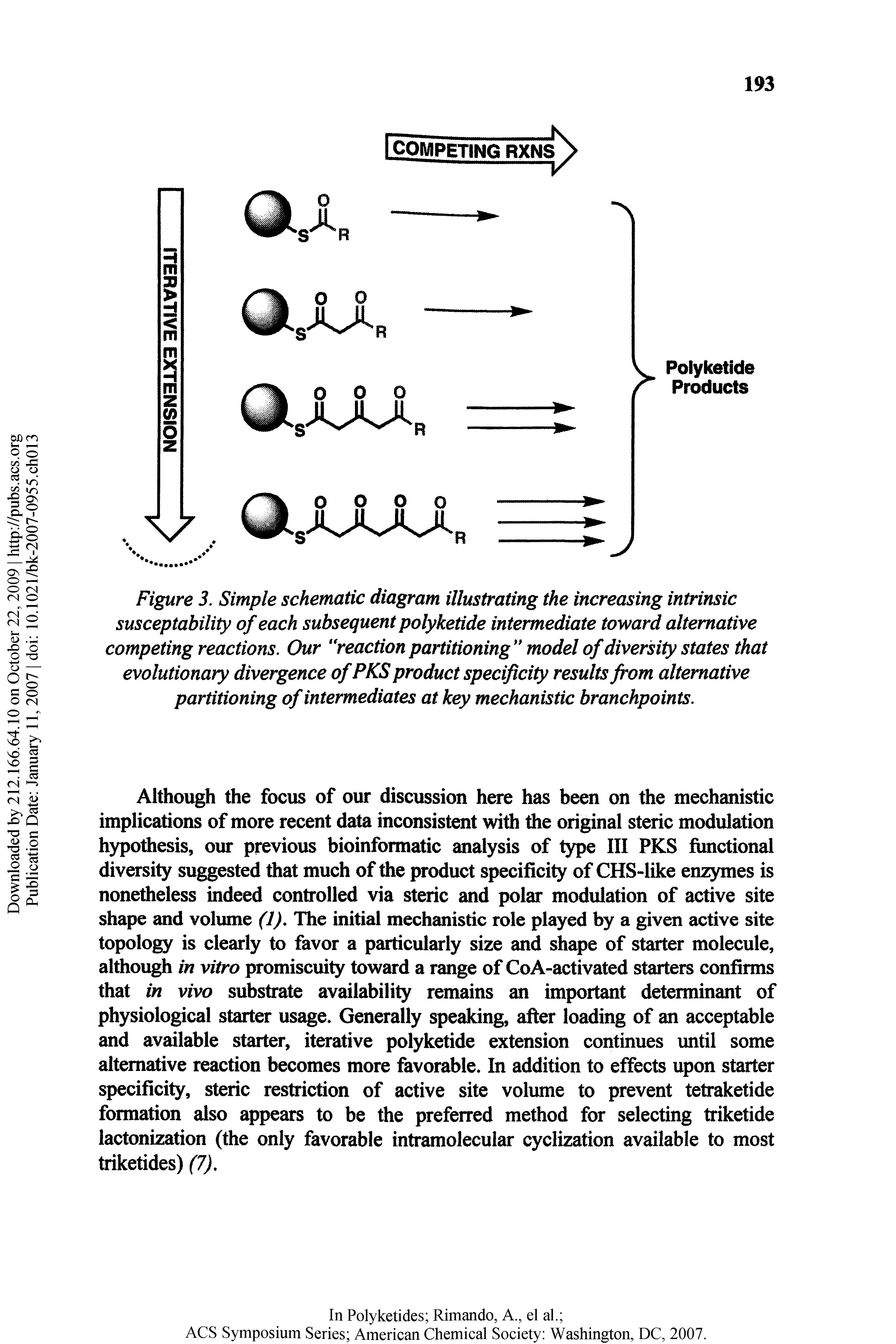 Figure 3. Simple schematic diagram illustrating the increasing intrinsic susceptability of each subsequent polyketide intermediate toward alternative competing reactions. Our Reaction partitioning model of diversity states that evolutionary divergence of PKS product specificity results from alternative partitioning of intermediates at key mechanistic branchpoints.