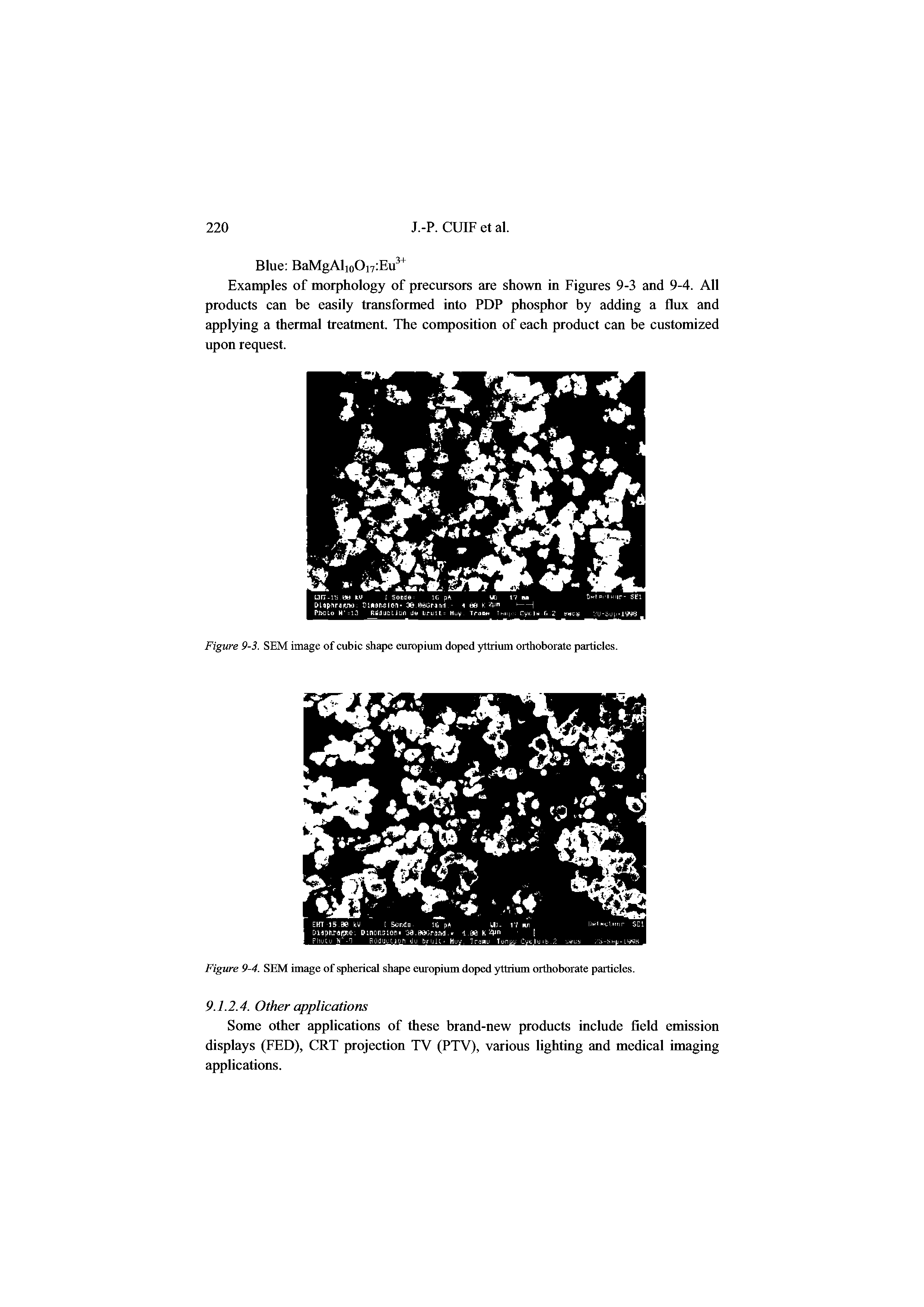 Figure 9-3. SEM image of cubic shape europium doped yttrium orthoborate particles.