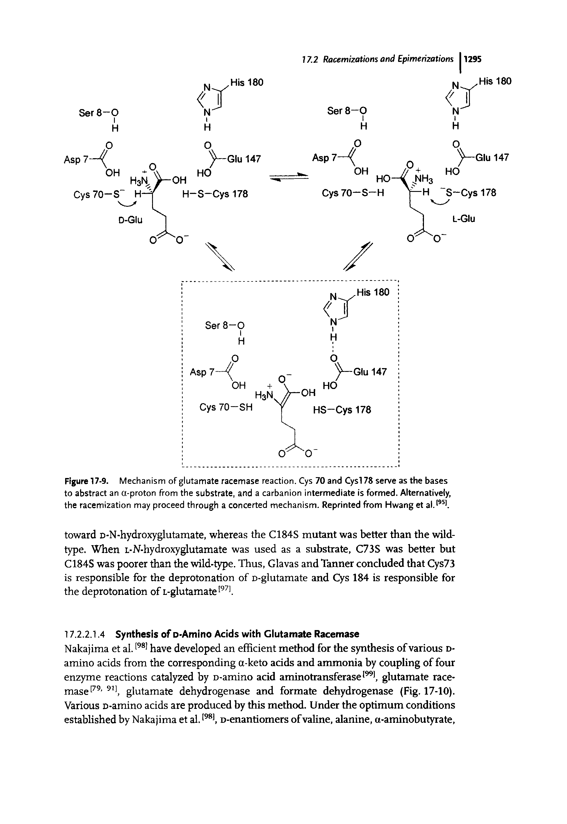 Figure 17-9. Mechanism of glutamate racemase reaction. Cys 70 and Cysl78 serve as the bases to abstract an a-proton from the substrate, and a carbanion intermediate is formed. Alternatively, the racemization may proceed through a concerted mechanism. Reprinted from Hwang et al. 951.