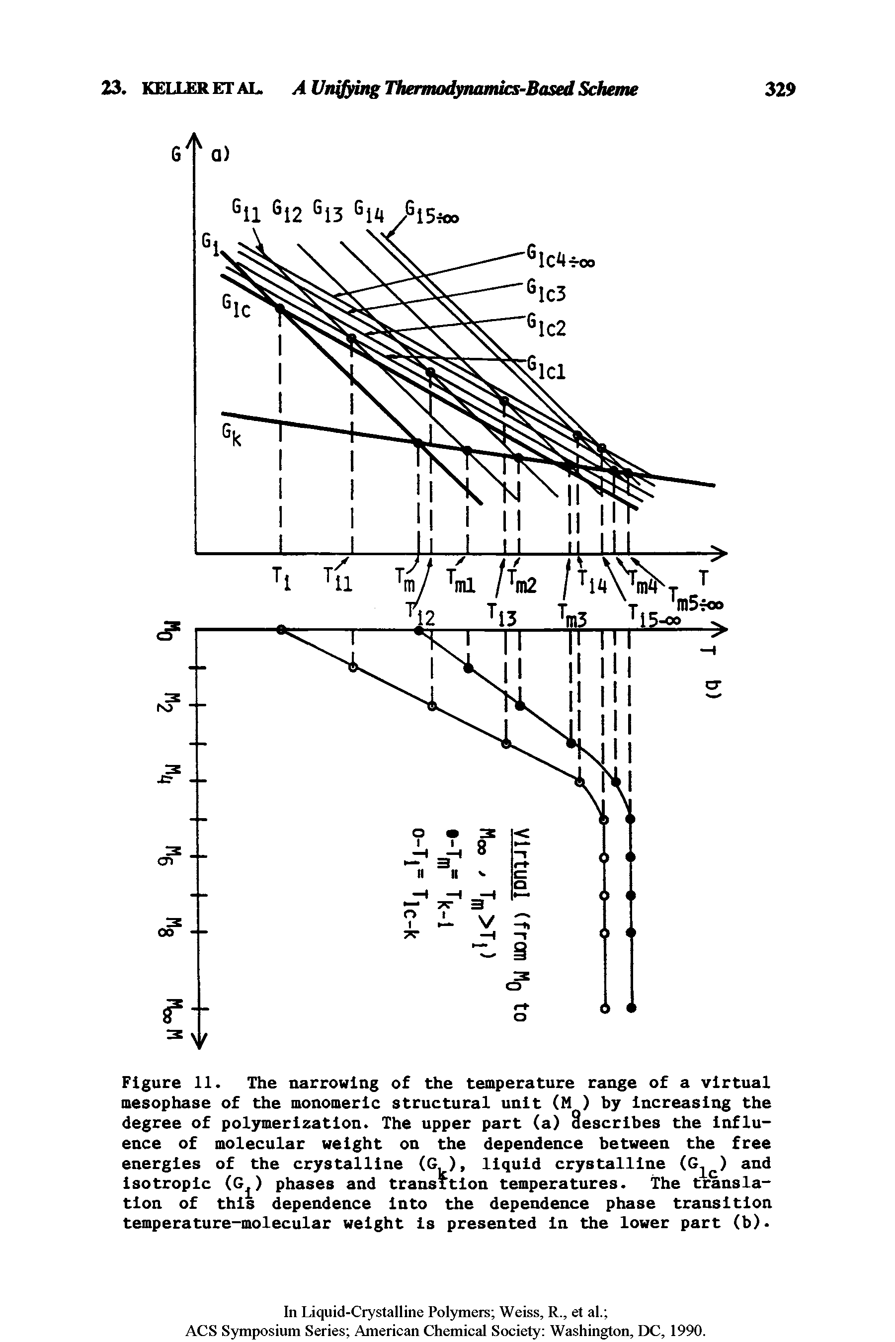 Figure 11. The narrowing of the temperature range of a virtual mesophase of the monomeric structural unit (M ) by Increasing the degree of polymerization. The upper part (a) describes the Influence of molecular weight on the dependence between the free energies of the crystalline (G ), liquid crystalline (Glc) and Isotropic (G ) phases and transition temperatures. The translation of this dependence Into the dependence phase transition temperature-molecular weight is presented In the lower part (b).