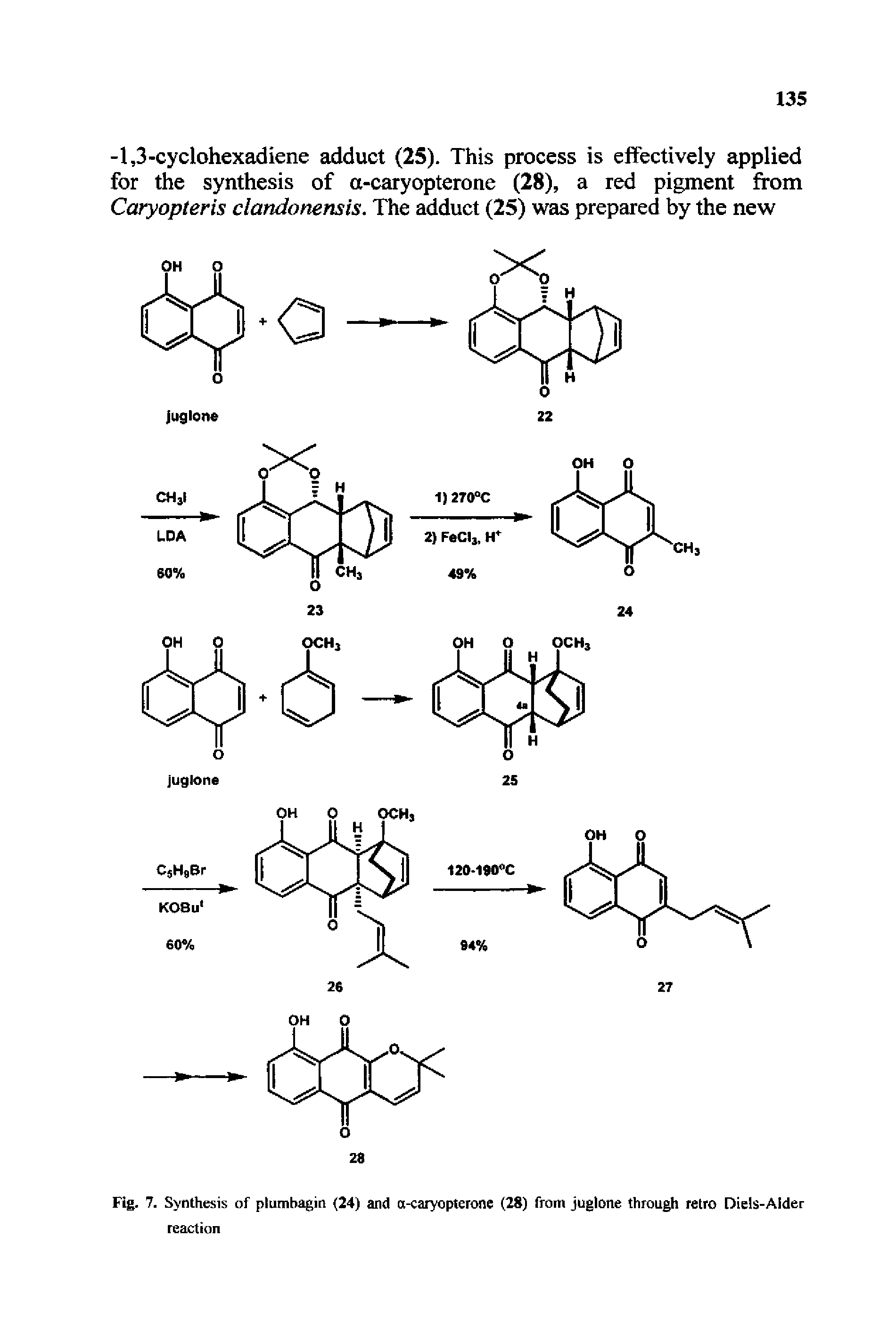 Fig. 7. Synthesis of ptumbagin (24) and a-caiyopterone (28) from juglone through retro Diels-Aider reaction...