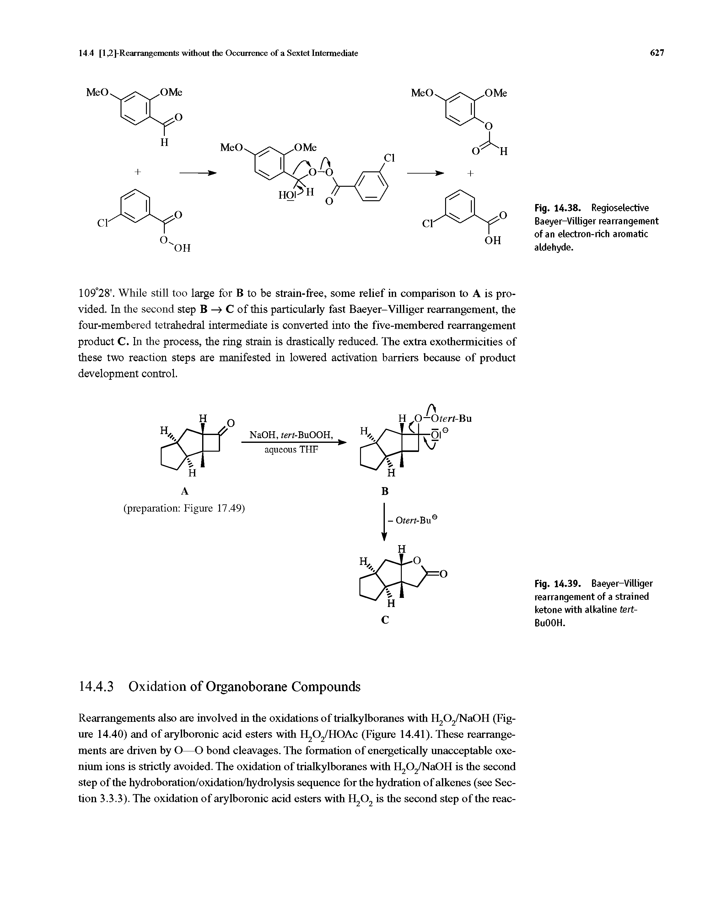 Fig. 14.39. Baeyer-Villiger rearrangement of a strained ketone with alkaline tert-BuOOH.