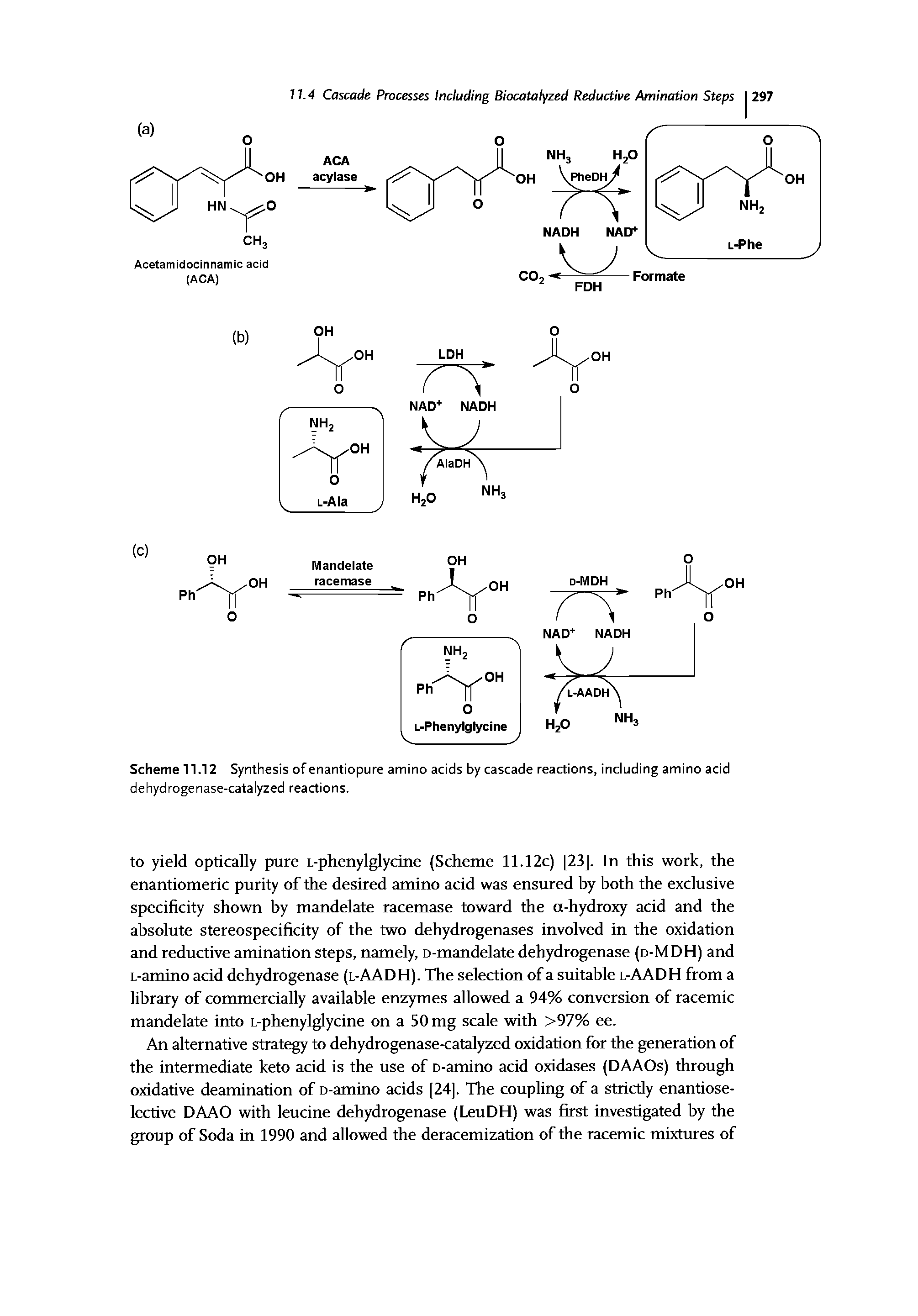 Scheme 11.12 Synthesis of enantiopure amino acids by cascade reactions, including amino acid dehydrogenase-catalyzed reactions.