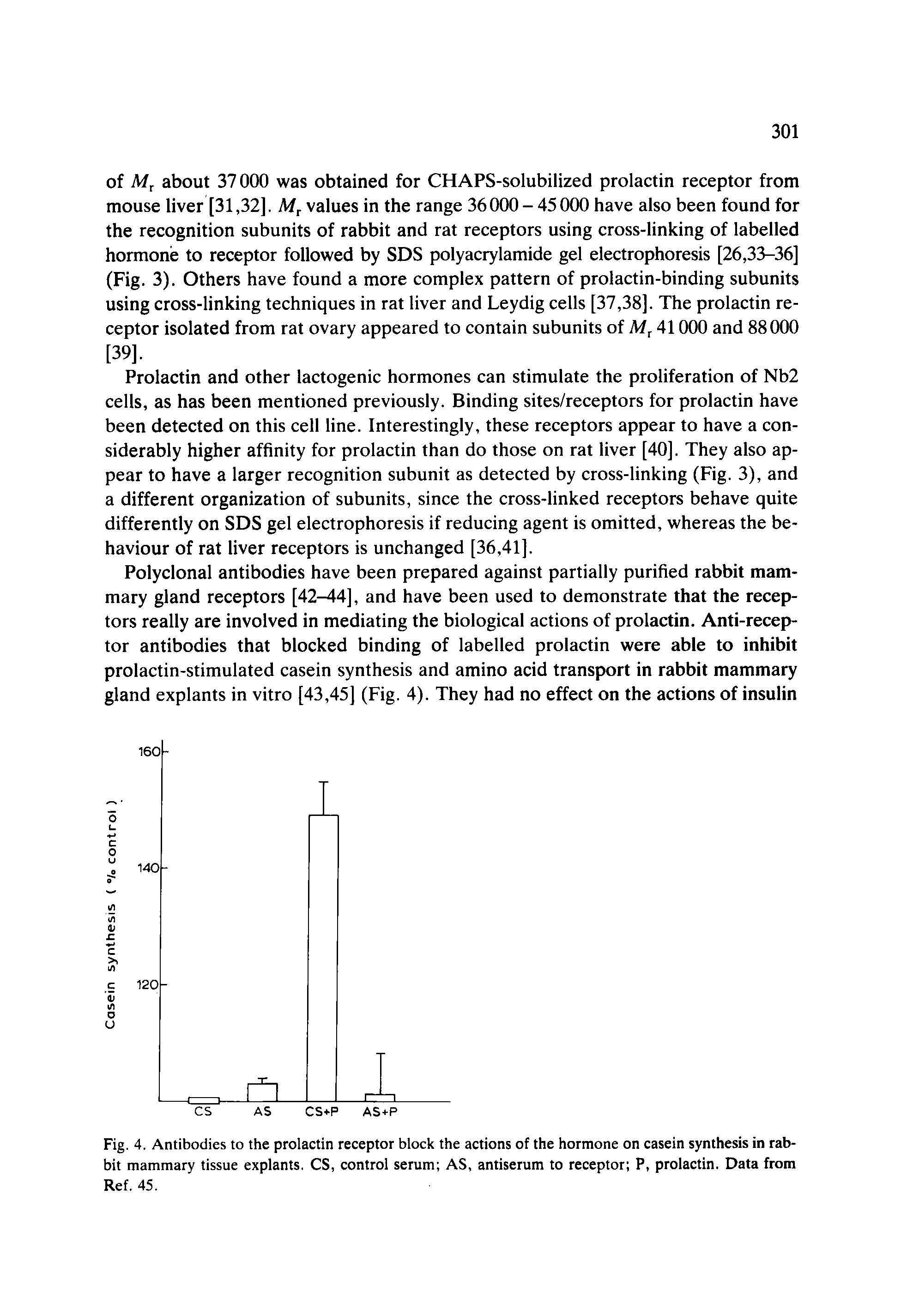 Fig. 4. Antibodies to the prolactin receptor block the actions of the hormone on casein synthesis in rabbit mammary tissue explants. CS, control serum AS, antiserum to receptor P, prolactin. Data from Ref. 45.