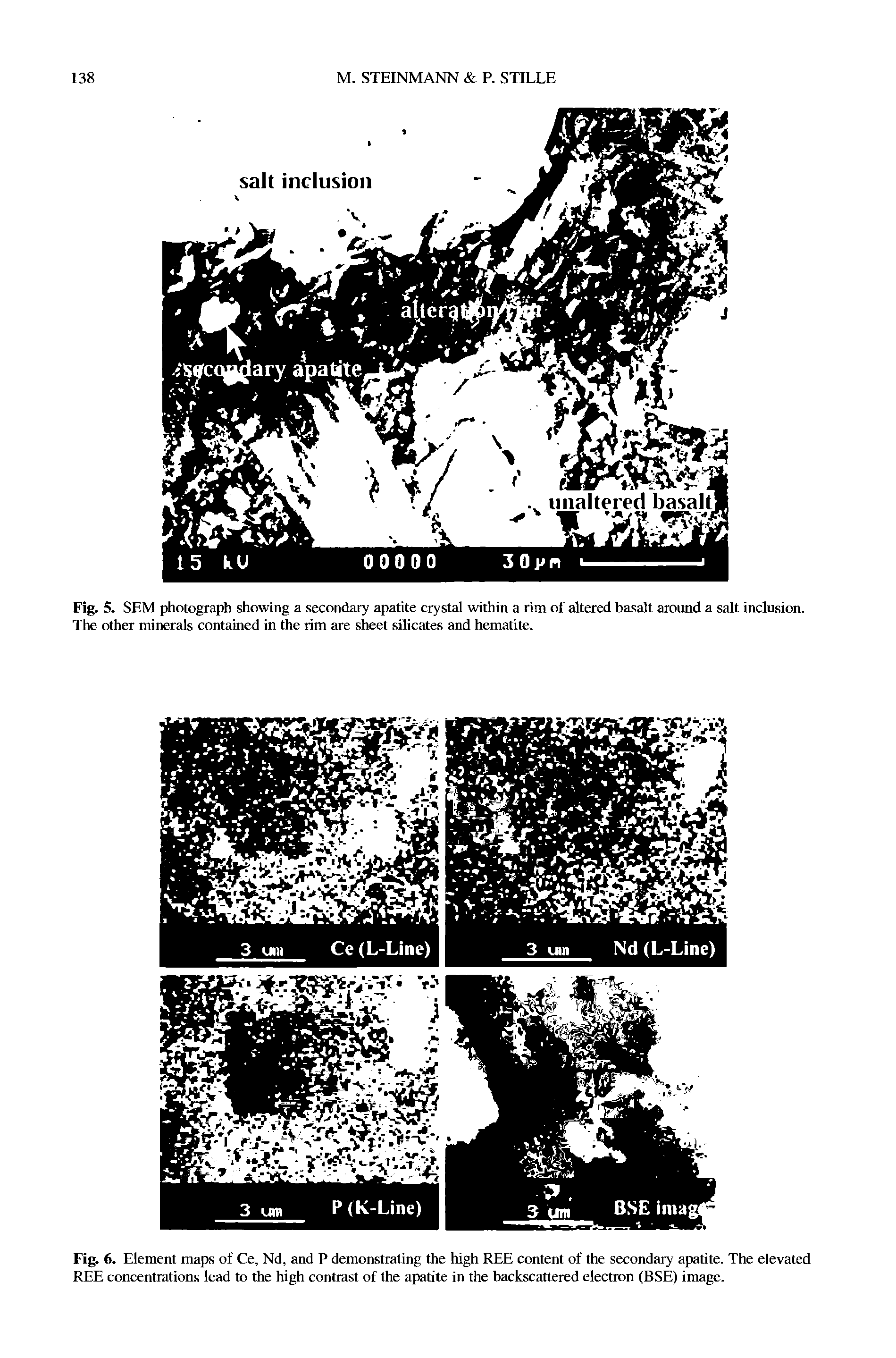 Fig. 6. Element maps of Ce, Nd, and P demonstrating the high REE content of the secondary apatite. The elevated REE concentrations lead to the high contrast of the apatite in the backscattered electron (BSE) image.