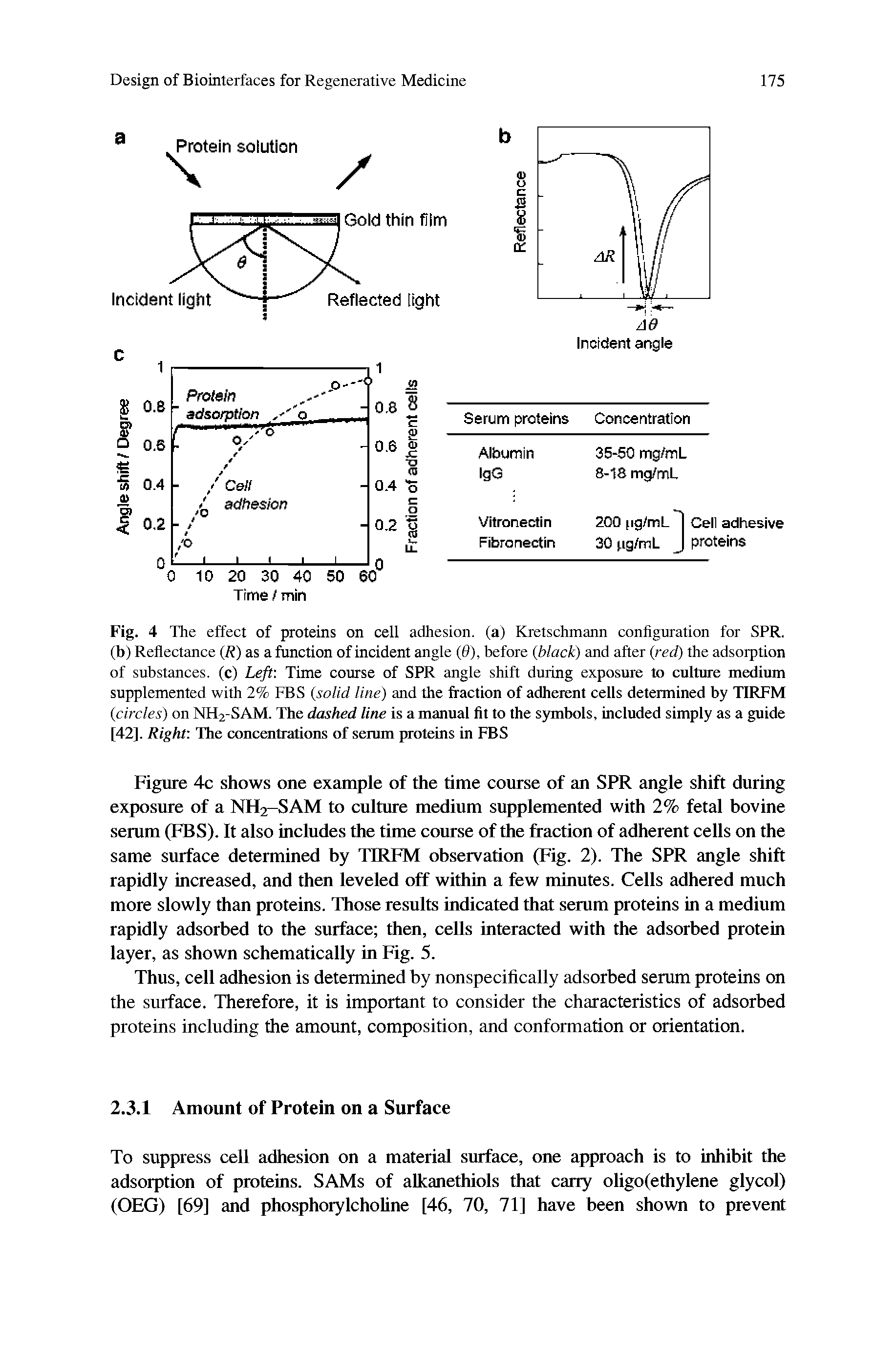 Figure 4c shows one example of the time course of an SPR angle shift during exposure of a NH2-SAM to culture medium supplemented with 2% fetal bovine serum (FBS). It also includes the time course of the fraction of adherent cells on the same surface determined by TIRFM observation (Fig. 2). The SPR angle shift rapidly increased, and then leveled off within a few minutes. Cells adhered much more slowly than proteins. Those results indicated that serum proteins in a medium rapidly adsorbed to the surface then, cells interacted with the adsorbed protein layer, as shown schematically in Fig. 5.