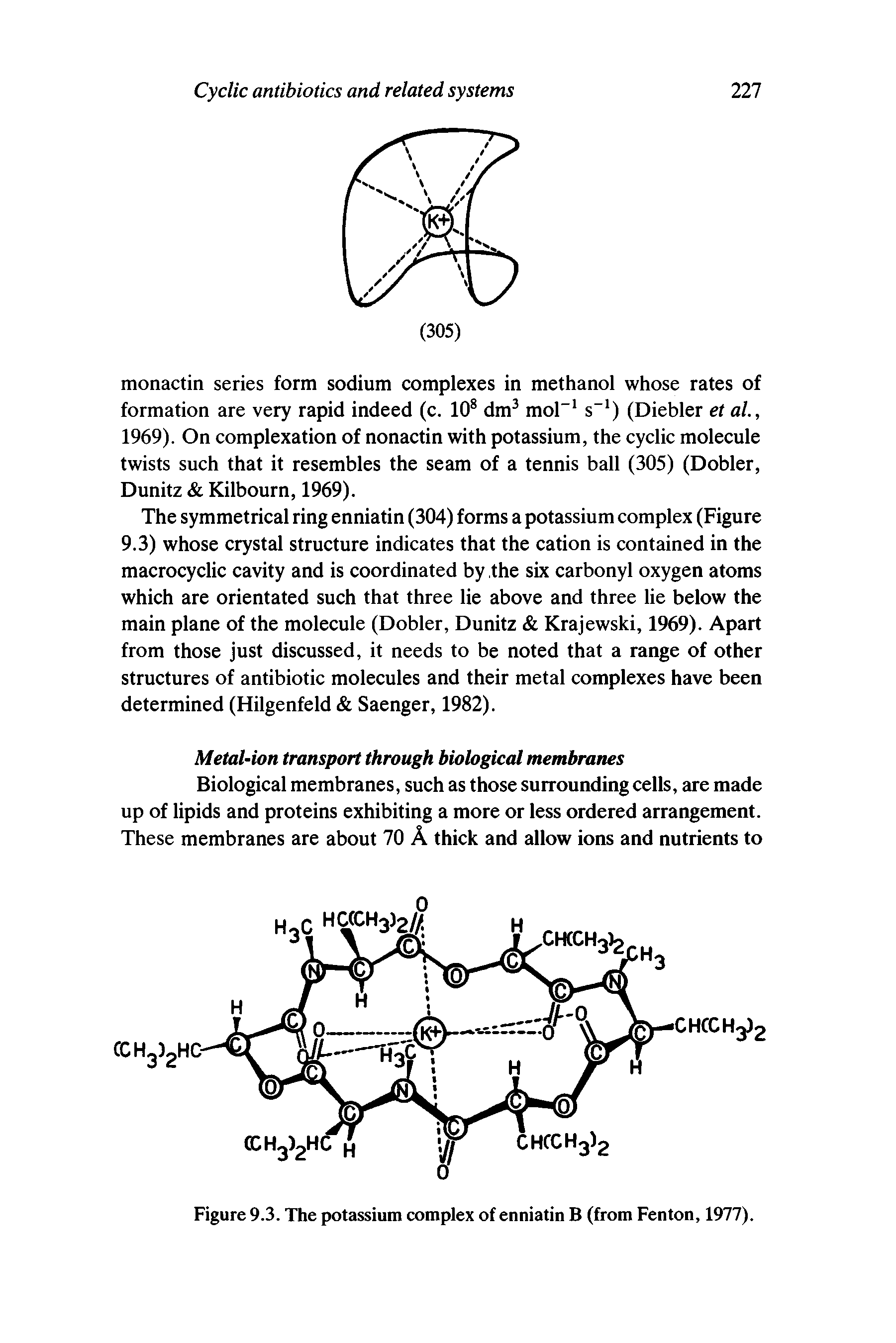 Figure 9.3. The potassium complex of enniatin B (from Fenton, 1977).
