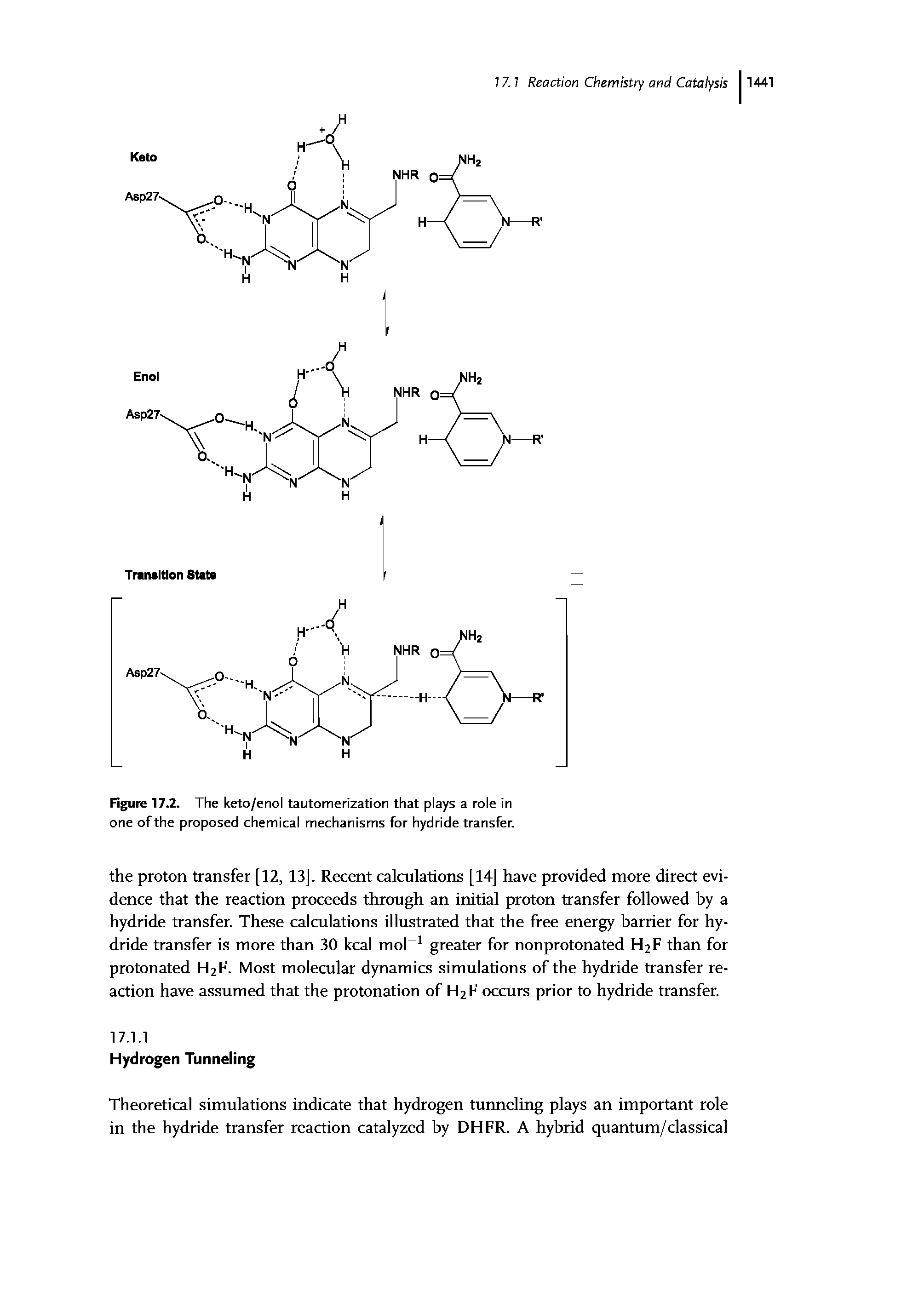 Figure 17.2. The keto/enol tautomerization that plays a role in one of the proposed chemical mechanisms for hydride transfer.
