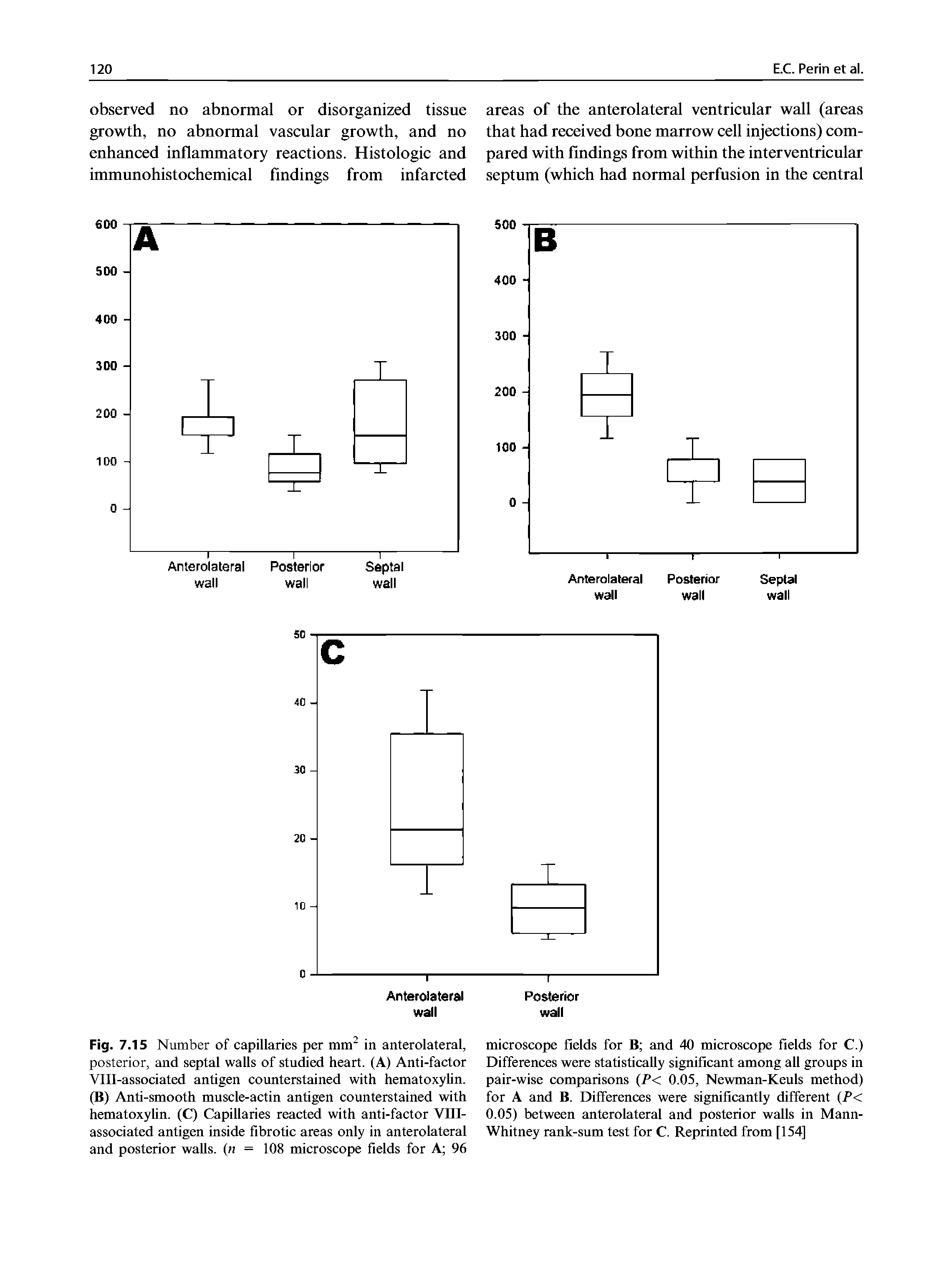 Fig. 7.15 Number of capillaries per mm in anterolateral, posterior, and septal walls of studied heart. (A) Anti-factor Vlll-associated antigen counterstained with hematoxylin. (B) Anti-smooth muscle-actin antigen counterstained with hematoxylin. (C) Capillaries reacted with anti-factor VIII-associated antigen inside fibrotic areas only in anterolateral and posterior walls, n = 108 microscope fields for A 96...