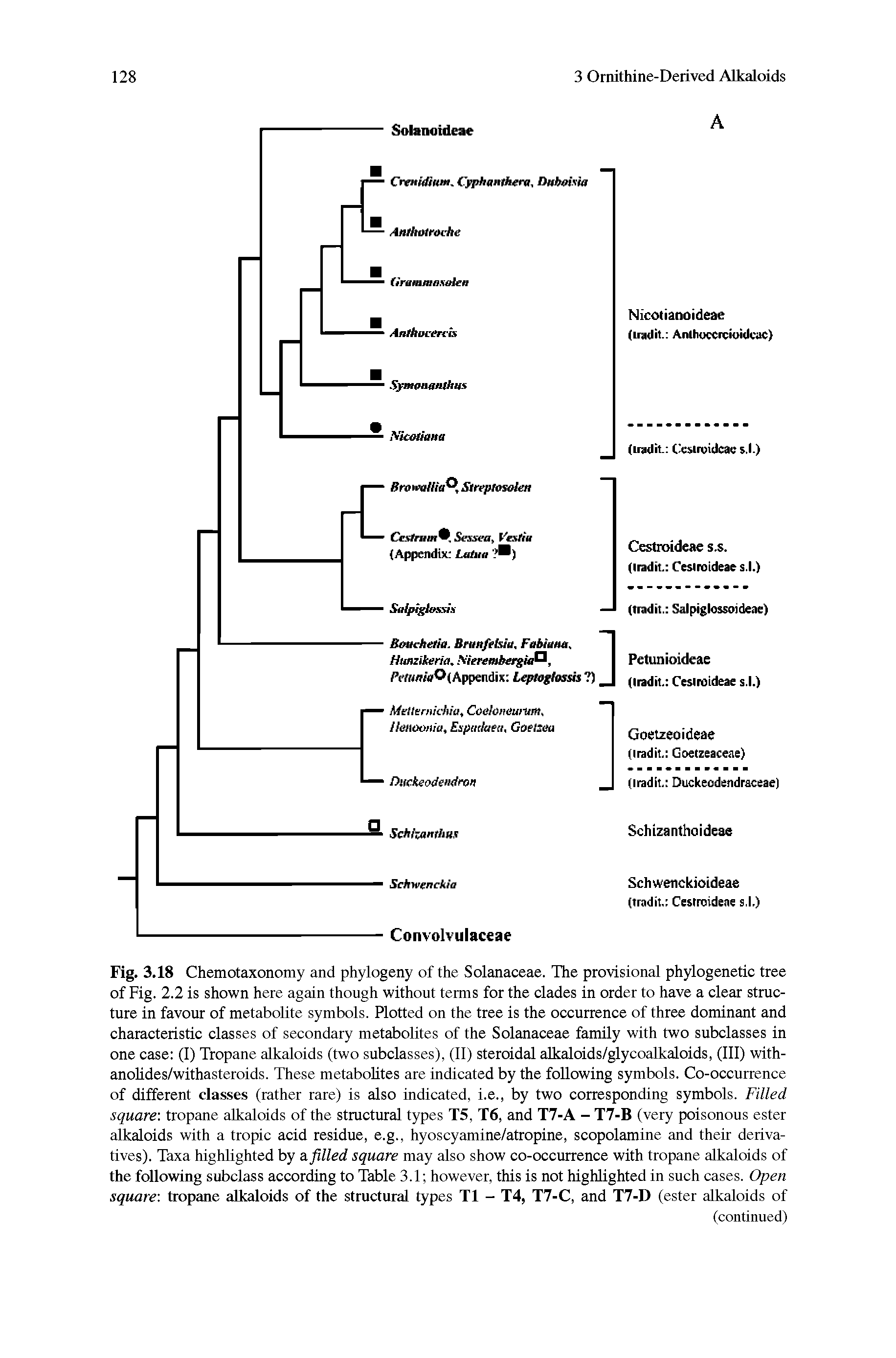 Fig. 3.18 Chemotaxonomy and phylogeny of the Solanaceae. The provisional phylogenetic tree of Fig. 2.2 is shown here again though without terms for the clades in order to have a clear structure in favour of metabolite symbols. Plotted on the tree is the occurrence of three dominant and characteristic classes of secondary metabolites of the Solanaceae family with two subclasses in one case (I) Tropane alkaloids (two subclasses), (11) steroidal alkaloids/glycoalkaloids, (III) with-anoUdes/withasteroids. These metabolites are indicated by the following symbols. Co-occurrence of different classes (rather rare) is also indicated, i.e., by two corresponding symbols. Filled square tropane alkaloids of the structural types T5, T6, and T7-A - T7-B (very poisonous ester alkaloids with a tropic acid residue, e.g., hyoscyamine/atropine, scopolamine and their derivatives). Taxa highlighted by dt filled square may also show co-occurrence with tropane alkaloids of the following subclass according to Table 3.1 however, this is not highlighted in such cases. Open square tropane alkaloids of the structural types T1 - T4, T7-C, and T7-D (ester alkaloids of...