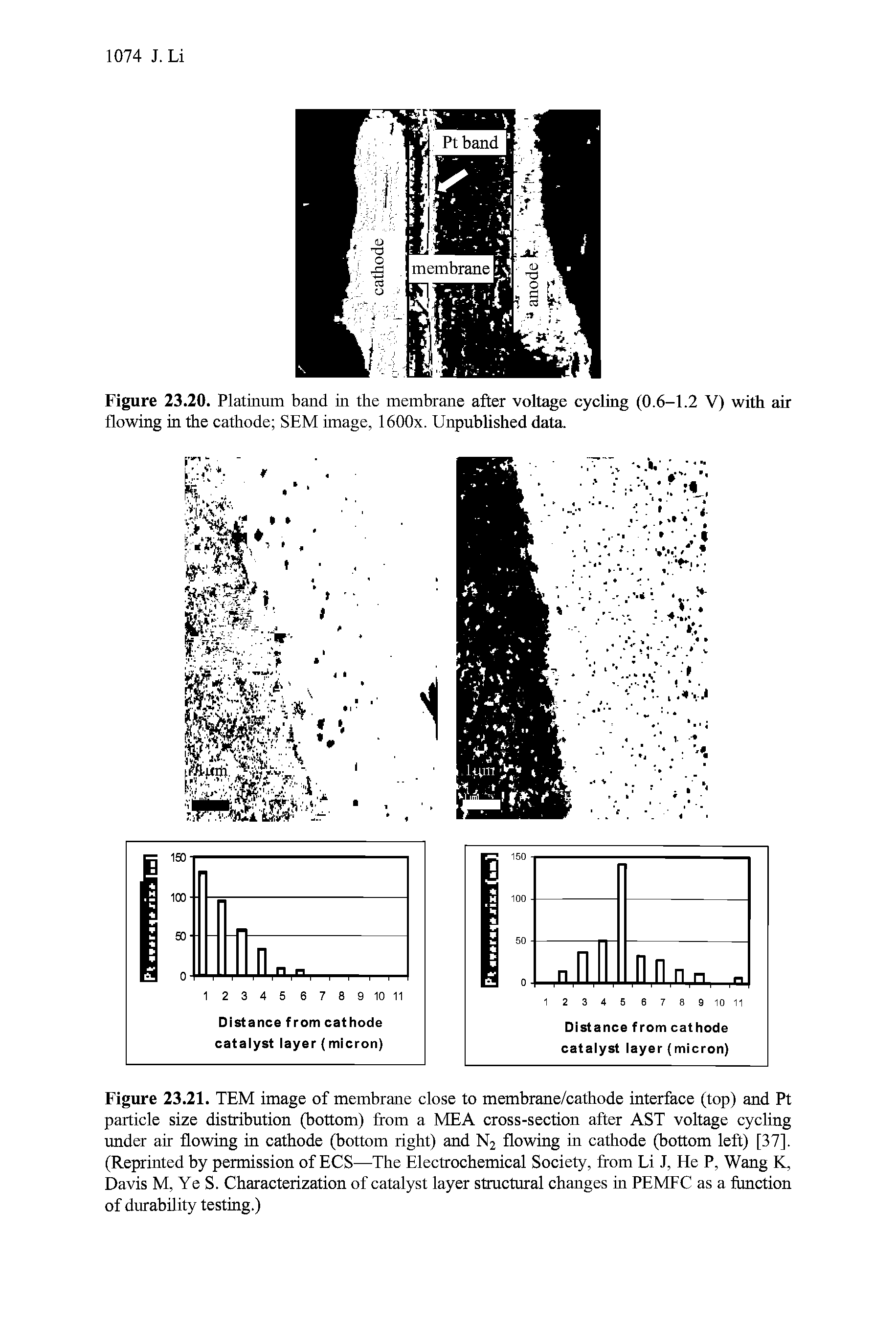 Figure 23.21. TEM image of membrane close to membrane/cathode interface (top) and Pt particle size distribution (bottom) from a MEA cross-section after AST voltage cycling xmder air flowing in cathode (bottom right) and N2 flowing in cathode (bottom left) [37]. (Reprinted by permission of ECS—The Electrochemical Society, from Li J, He P, Wang K, Davis M, Ye S. Characterization of catalyst layer structural changes in PEMFC as a function of durability testing.)...