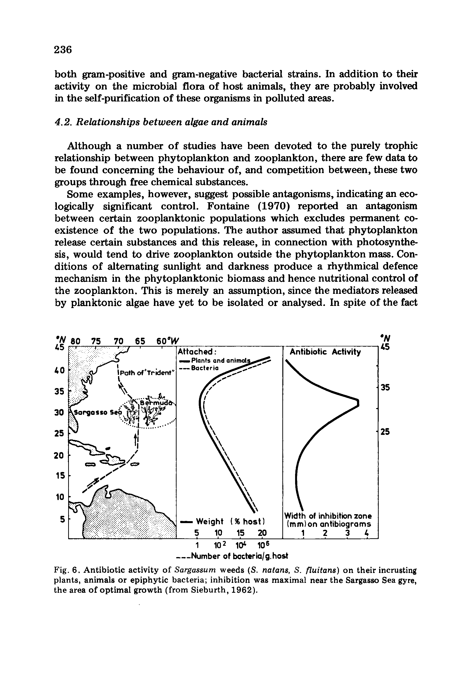 Fig. 6. Antibiotic activity of Sargassum weeds (S. natans, S. fluitans) on their incrusting plants, animals or epiphytic bacteria inhibition was maximal near the Sargasso Sea gyre, the area of optimal growth (from Sieburth, 1962).