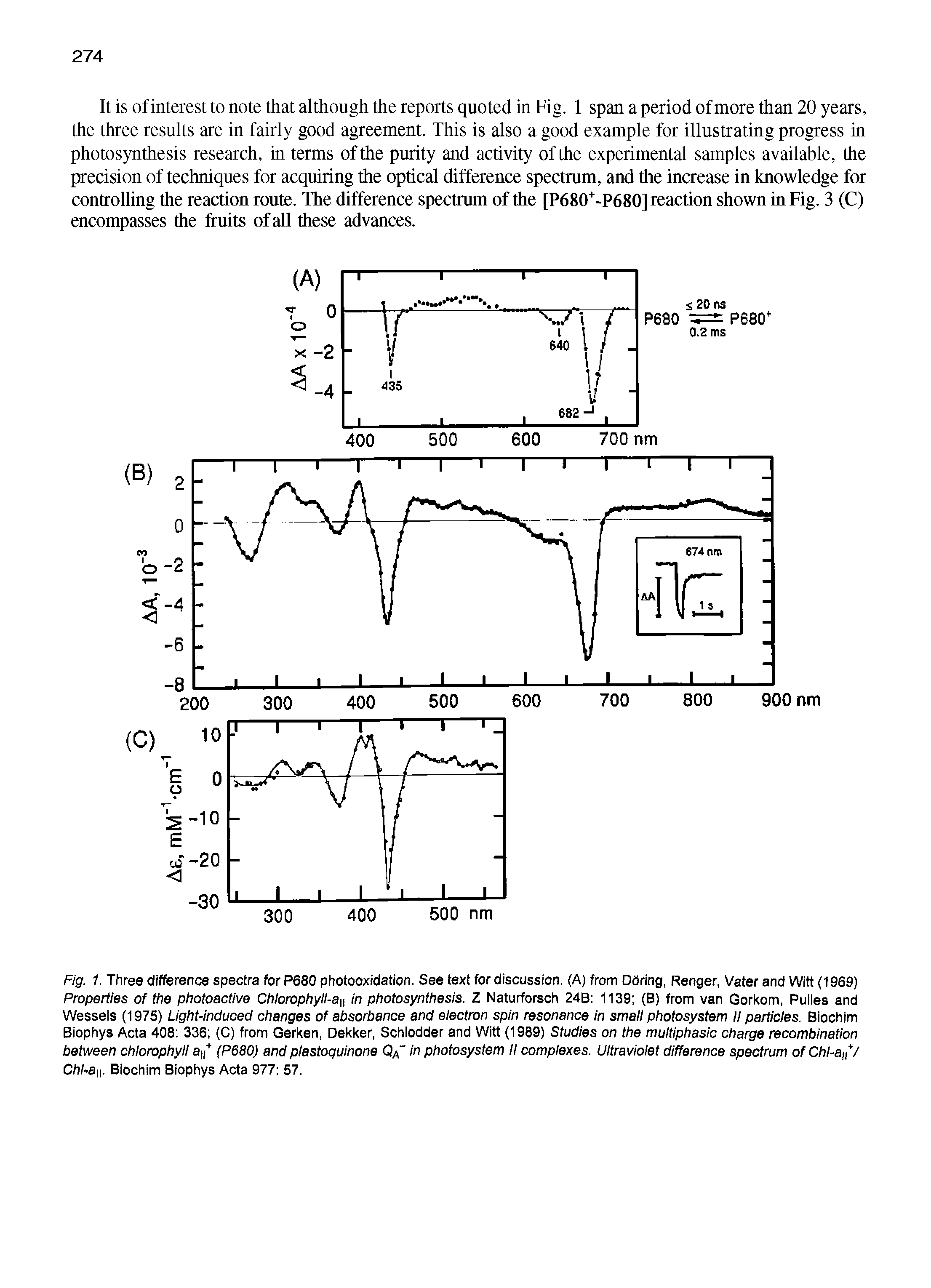 Fig. 1. Three difference spectra for P680 photooxidation. See text for discussion. (A) from DOring, Renger, Vater and Witt (1969) Properties of the photoactive Chlorophyll-a f in photosynthesis. Z Naturforsch 24B 1139 (B) from van Gorkom, Pulles and Wessels (1975) Light-induced changes of absorbance and electron spin resonance in small photosystem II particles. Biochim Biophys Acta 408 336 (C) from Gerken, Dekker, Schlodder and Witt (1989) Studies on the multiphasic charge recombination between chlorophyll a/ (P680) and plastoquinone in photosystem II complexes. Ultraviolet difference spectrum of Chl-a / Chl-a. Biochim Biophys Acta 977 57.