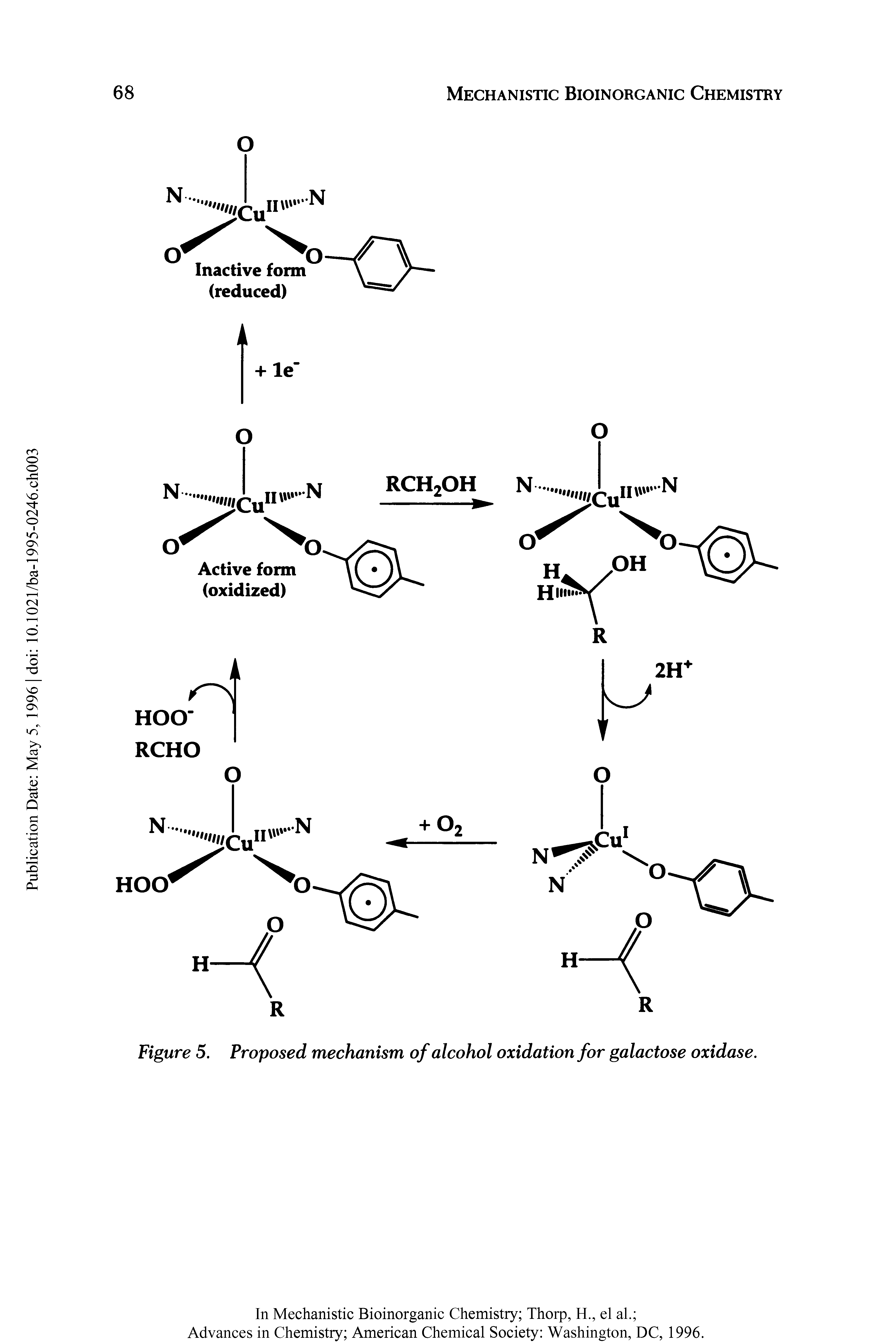 Figure 5. Proposed mechanism of alcohol oxidation for galactose oxidase.