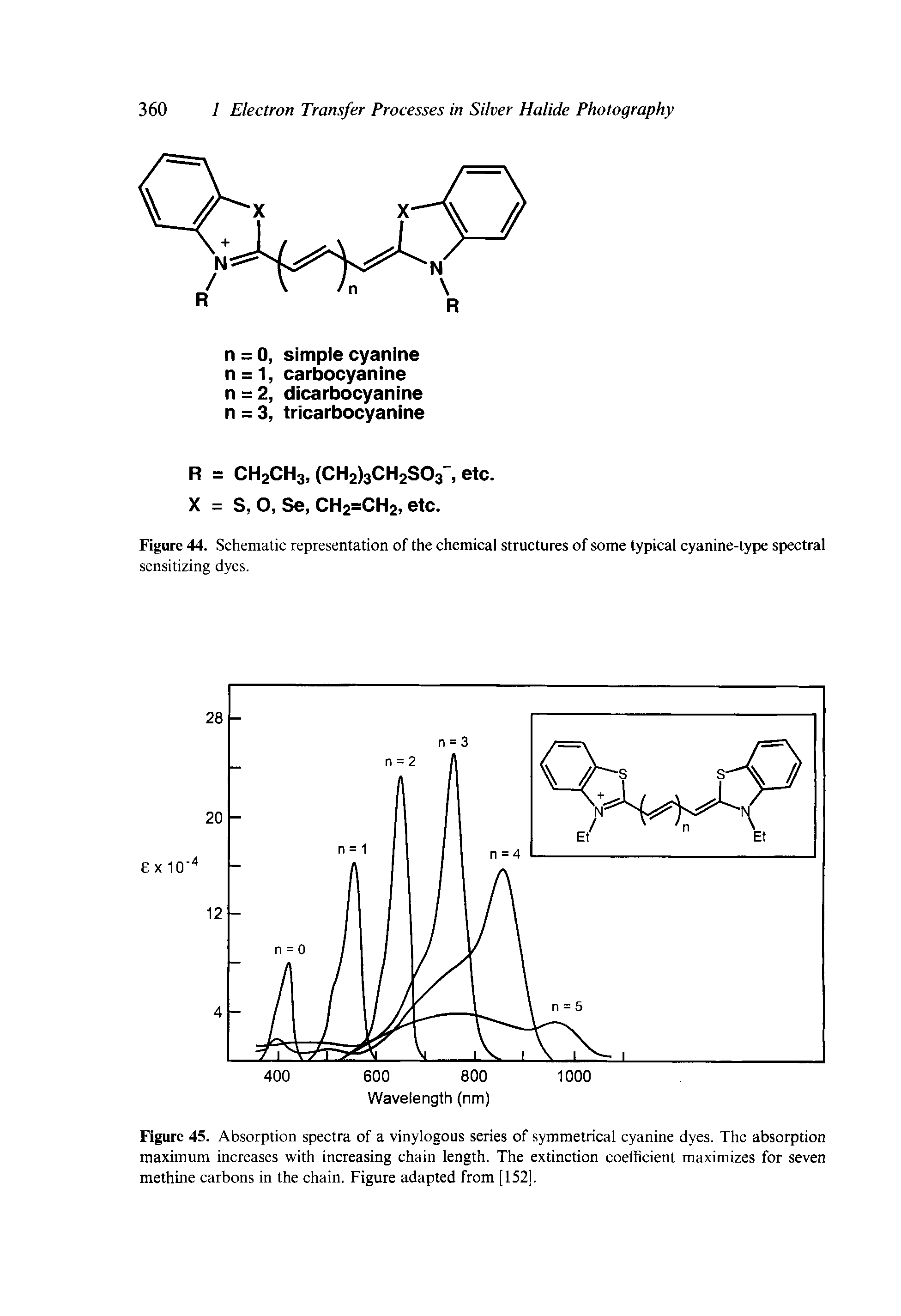 Figure 45. Absorption spectra of a vinylogous series of symmetrical cyanine dyes. The absorption maximum increases with increasing chain length. The extinction coefficient maximizes for seven methine carbons in the chain. Figure adapted from [152].