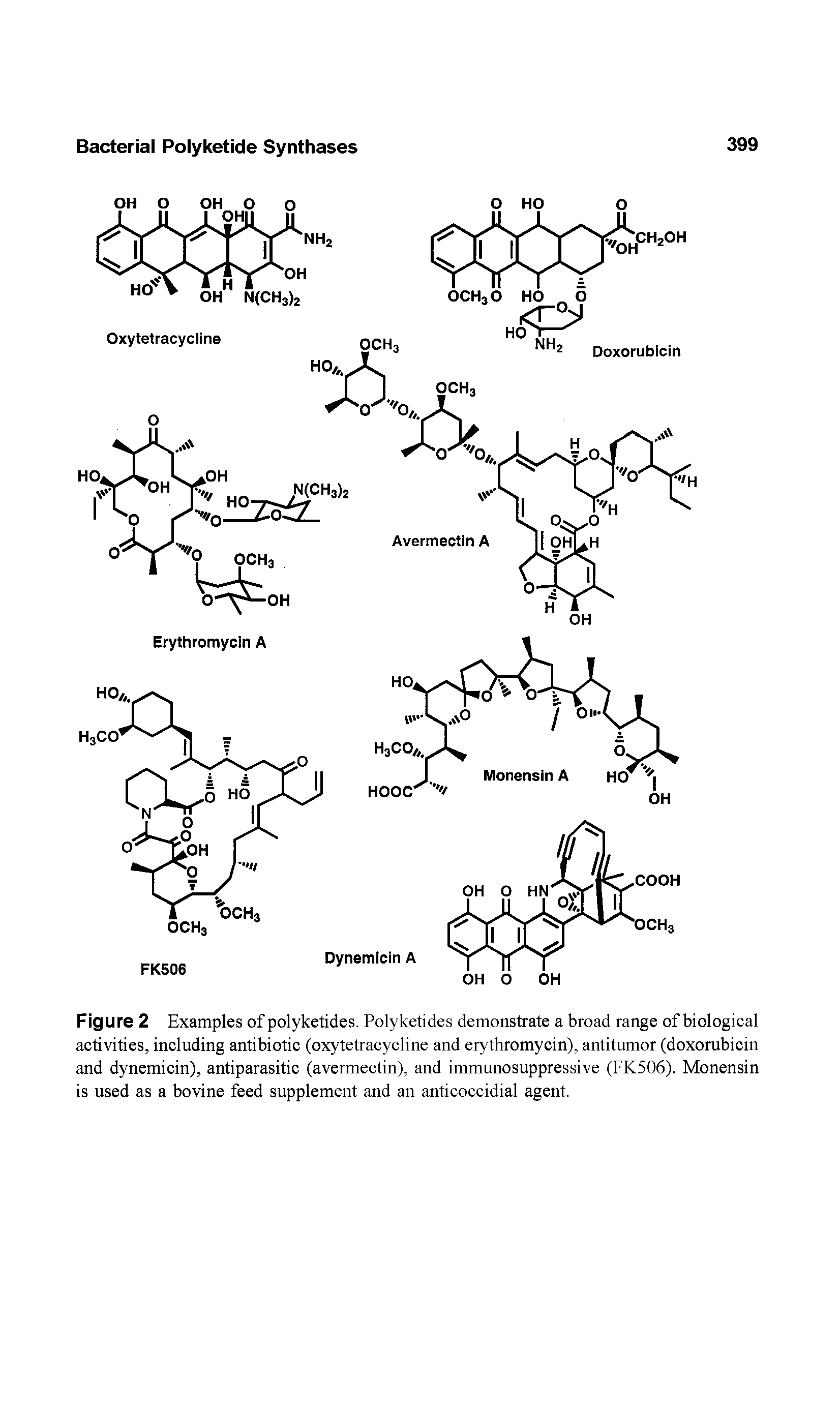 Figure 2 Examples of polyketides. Polyketides demonstrate a broad range of biological activities, including antibiotic (oxytetracycline and erythromycin), antitumor (doxorubicin and dynemicin), antiparasitic (avermectin), and immunosuppressive (FK506). Monensin is used as a bovine feed supplement and an anticoccidial agent.