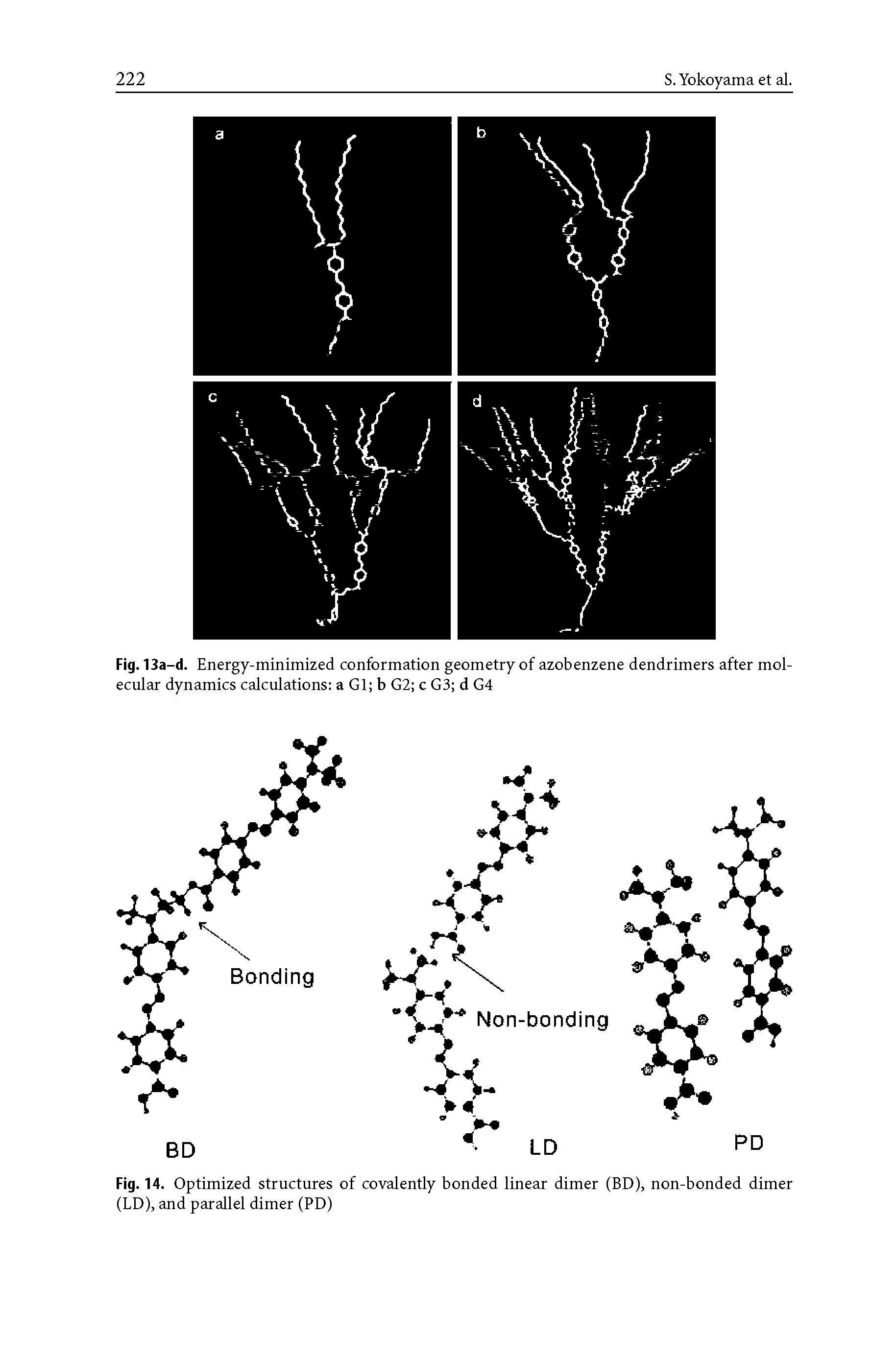 Fig. 14. Optimized structures of covalently bonded linear dimer (BD), non-bonded dimer (LD), and parallel dimer (PD)...