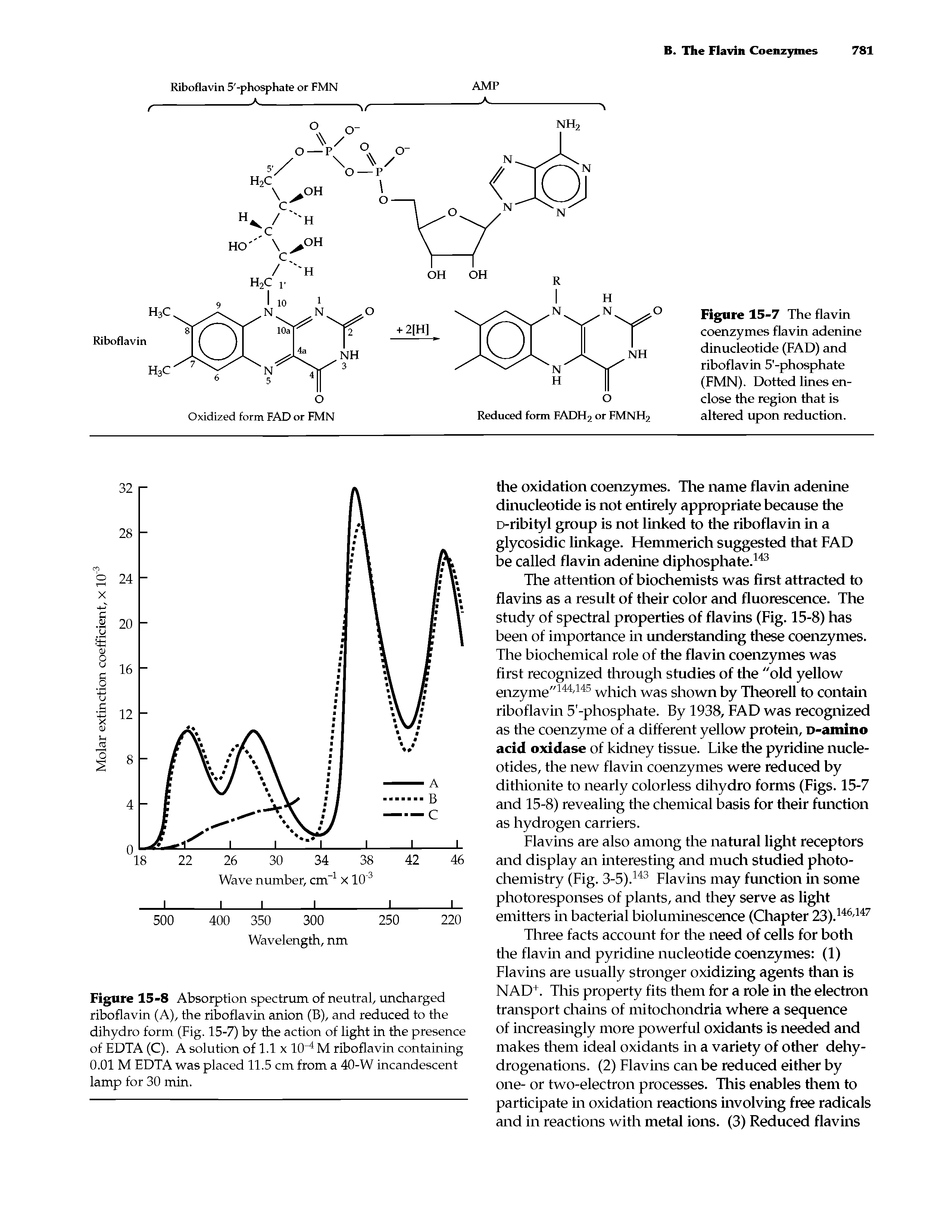 Figure 15-8 Absorption spectrum of neutral, uncharged riboflavin (A), the riboflavin anion (B), and reduced to the dihydro form (Fig. 15-7) by the action of light in the presence of EDTA (C). A solution of 1.1 x 1CF4 M riboflavin containing 0.01 M EDTA was placed 11.5 cm from a 40-W incandescent lamp for 30 min.