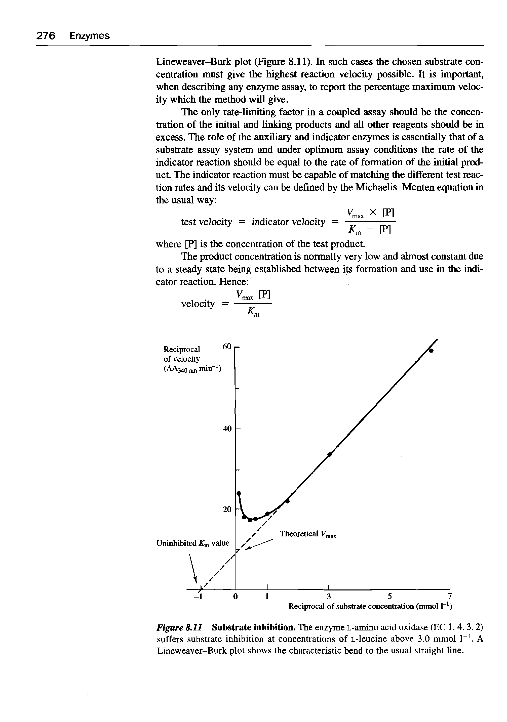 Figure 8.11 Substrate inhibition. The enzyme L-amino acid oxidase (EC 1. 4. 3. 2) suffers substrate inhibition at concentrations of L-leucine above 3.0 mmol 1 1. A Lineweaver-Burk plot shows the characteristic bend to the usual straight line.