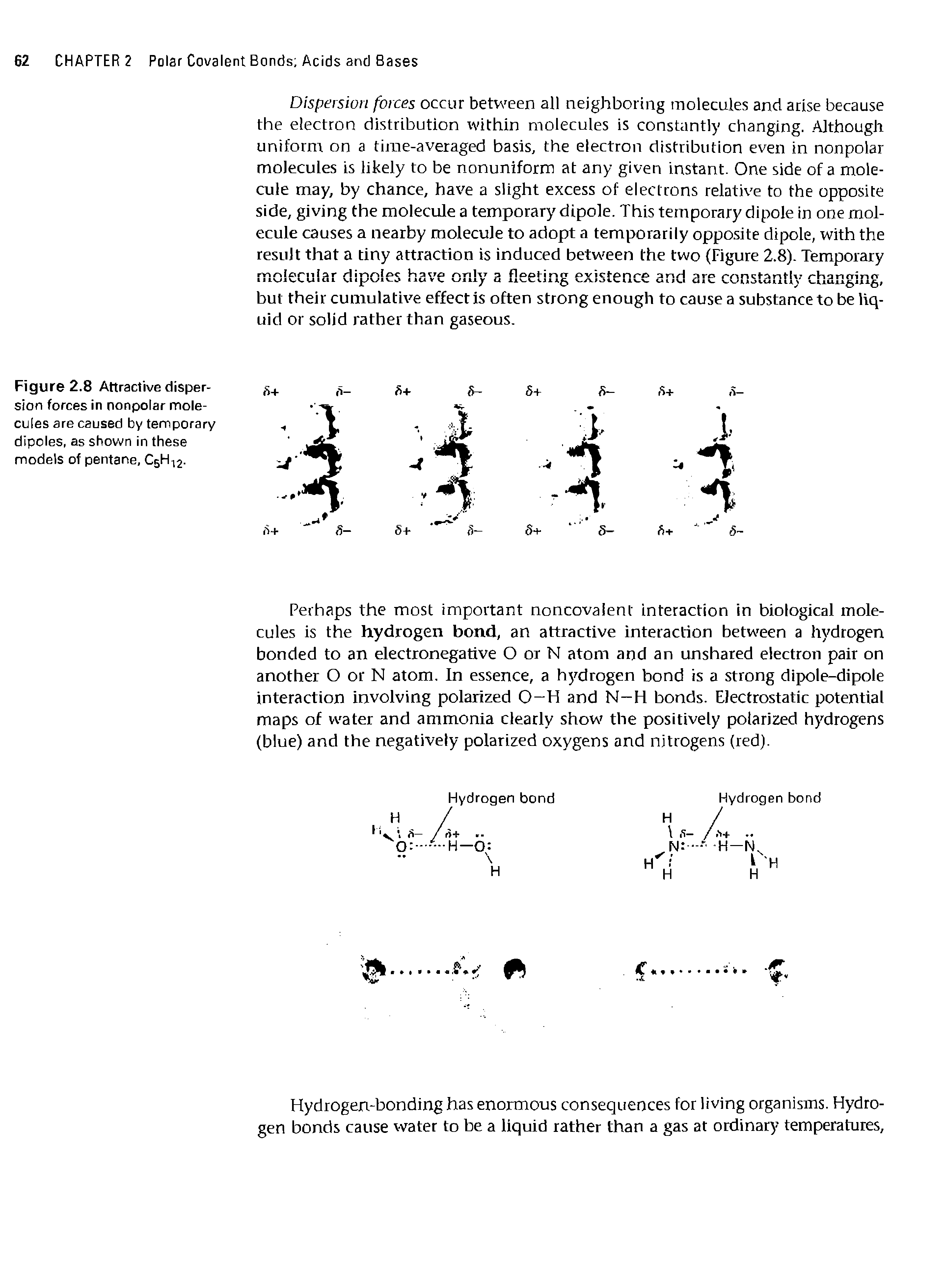 Figure 2.8 Attractive dispersion forces in nonpolar molecules are caused by temporary dipoles, as shown in these models of pentane, C5H12-...