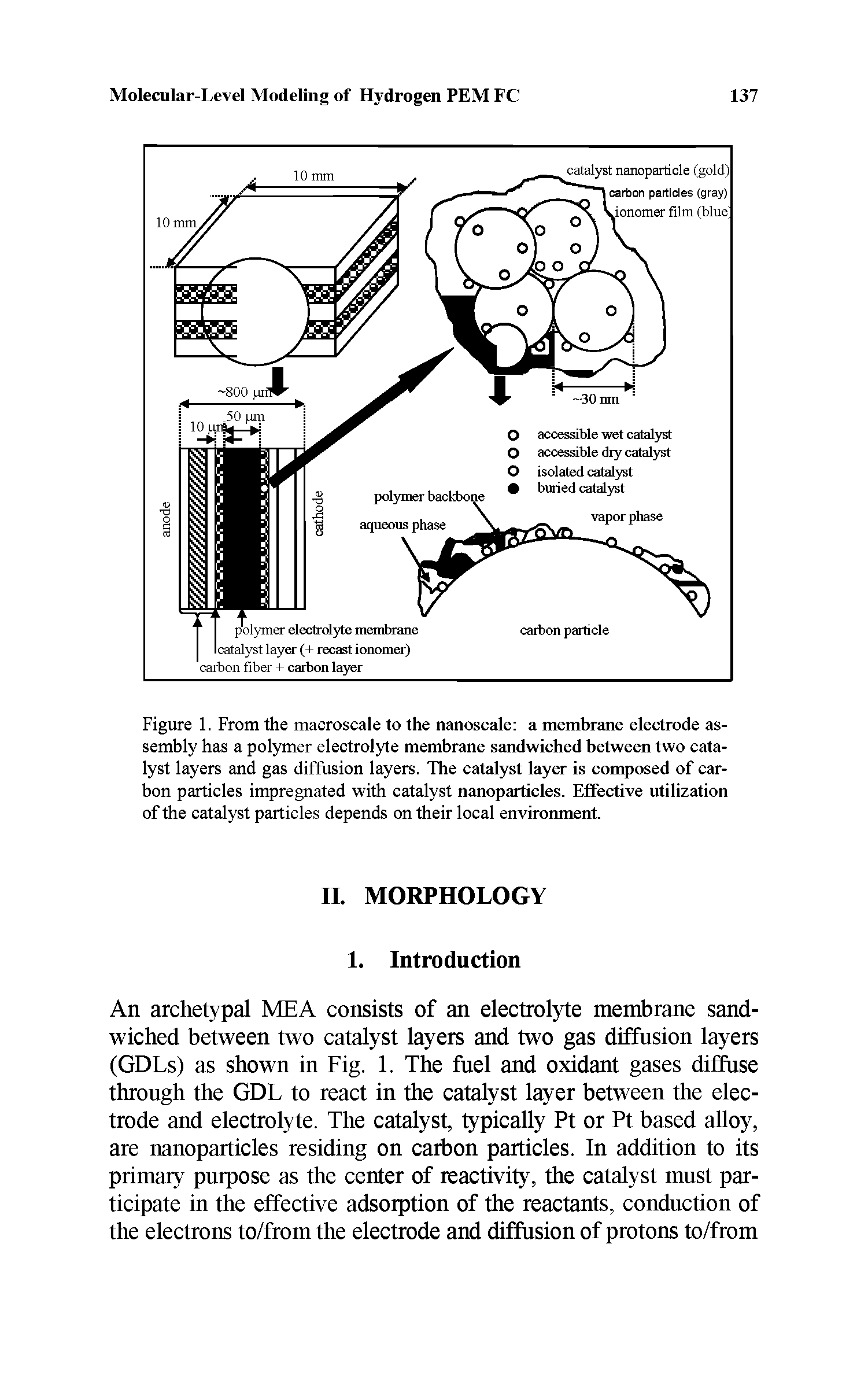 Figure 1. From the macroscale to the nanoscale a membrane electrode assembly has a polymer electrolyte membrane sandwiched between two catalyst layers and gas diffusion layers. The catalyst layer is composed of carbon particles impregnated with catalyst nanoparticles. Effective utilization of the catalyst particles depends on their local environment.