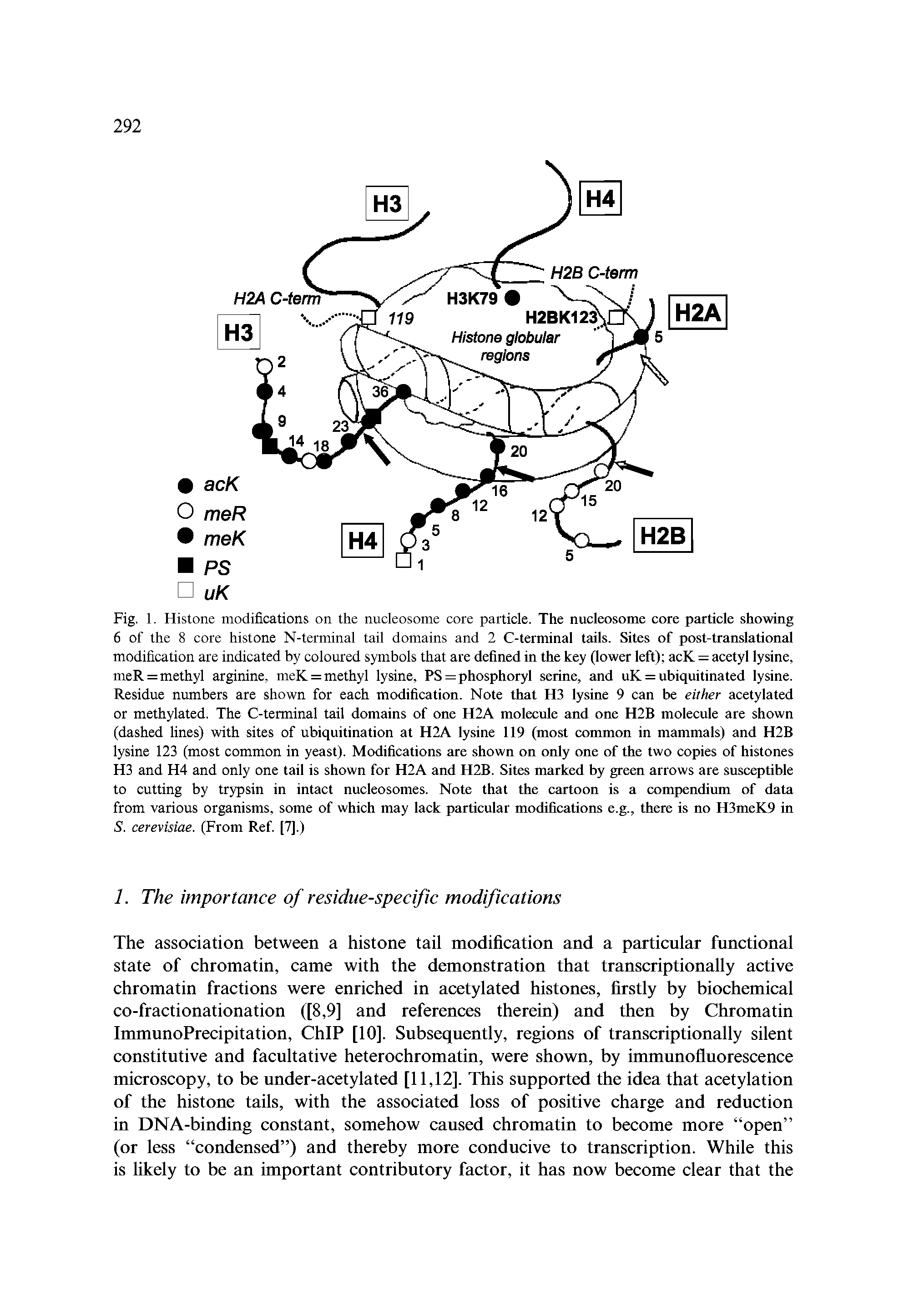 Fig. 1. Histone modifications on the nucleosome core particle. The nucleosome core particle showing 6 of the 8 core histone N-terminal tail domains and 2 C-terminal tails. Sites of post-translational modification are indicated by coloured symbols that are defined in the key (lower left) acK = acetyl lysine, meR = methyl arginine, mcK = methyl lysine, PS = phosphoryl serine, and uK = ubiquitinated lysine. Residue numbers are shown for each modification. Note that H3 lysine 9 can be either acetylated or methylated. The C-terminal tail domains of one H2A molecule and one H2B molecule are shown (dashed lines) with sites of ubiquitination at H2A lysine 119 (most common in mammals) and H2B lysine 123 (most common in yeast). Modifications are shown on only one of the two copies of histones H3 and H4 and only one tail is shown for H2A and H2B. Sites marked by green arrows are susceptible to cutting by trypsin in intact nucleosomes. Note that the cartoon is a compendium of data from various organisms, some of which may lack particular modifications e.g., there is no H3meK9 in S. cerevisiae. (From Ref [7].)...