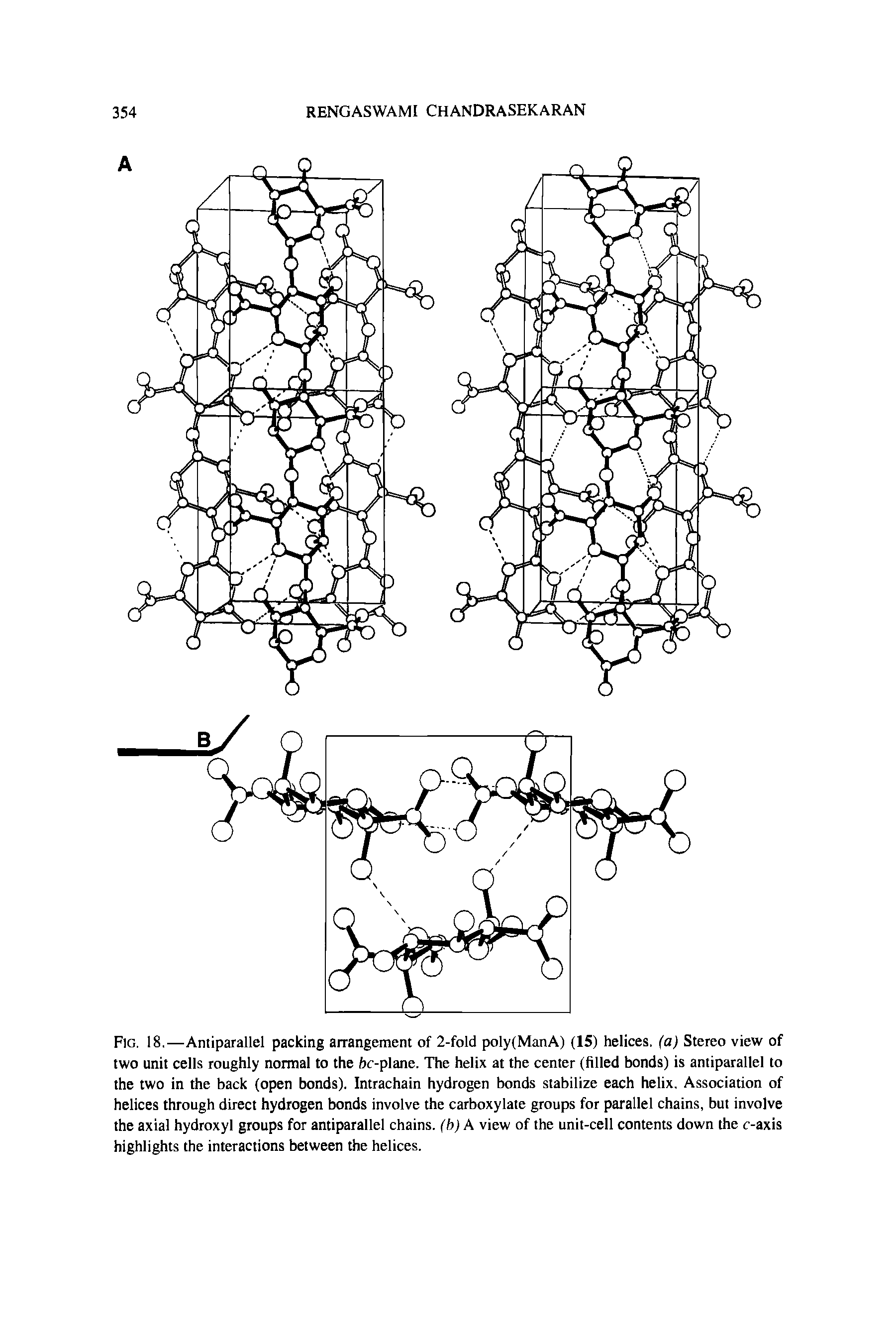 Fig. 18.—Antiparallel packing arrangement of 2-fold poly(ManA) (15) helices, (a) Stereo view of two unit cells roughly normal to the hoplane. The helix at the center (filled bonds) is antiparallel to the two in the back (open bonds). Intrachain hydrogen bonds stabilize each helix. Association of helices through direct hydrogen bonds involve the carboxylate groups for parallel chains, but involve the axial hydroxyl groups for antiparallel chains, (b) A view of the unit-cell contents down the t-axis highlights the interactions between the helices.