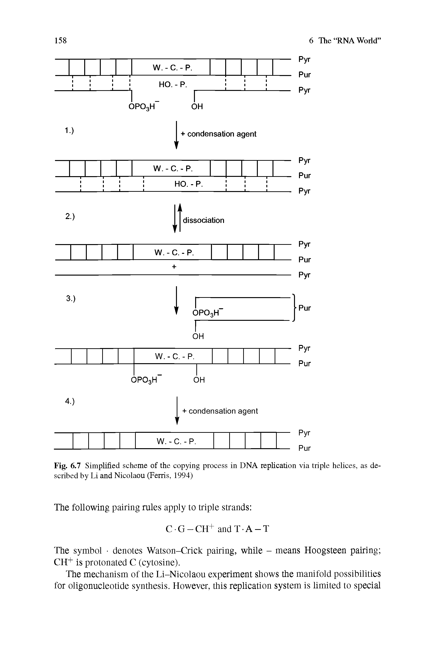 Fig. 6.7 Simplified scheme of the copying process in DNA replication via triple helices, as described by Li and Nicolaou (Ferris, 1994)...