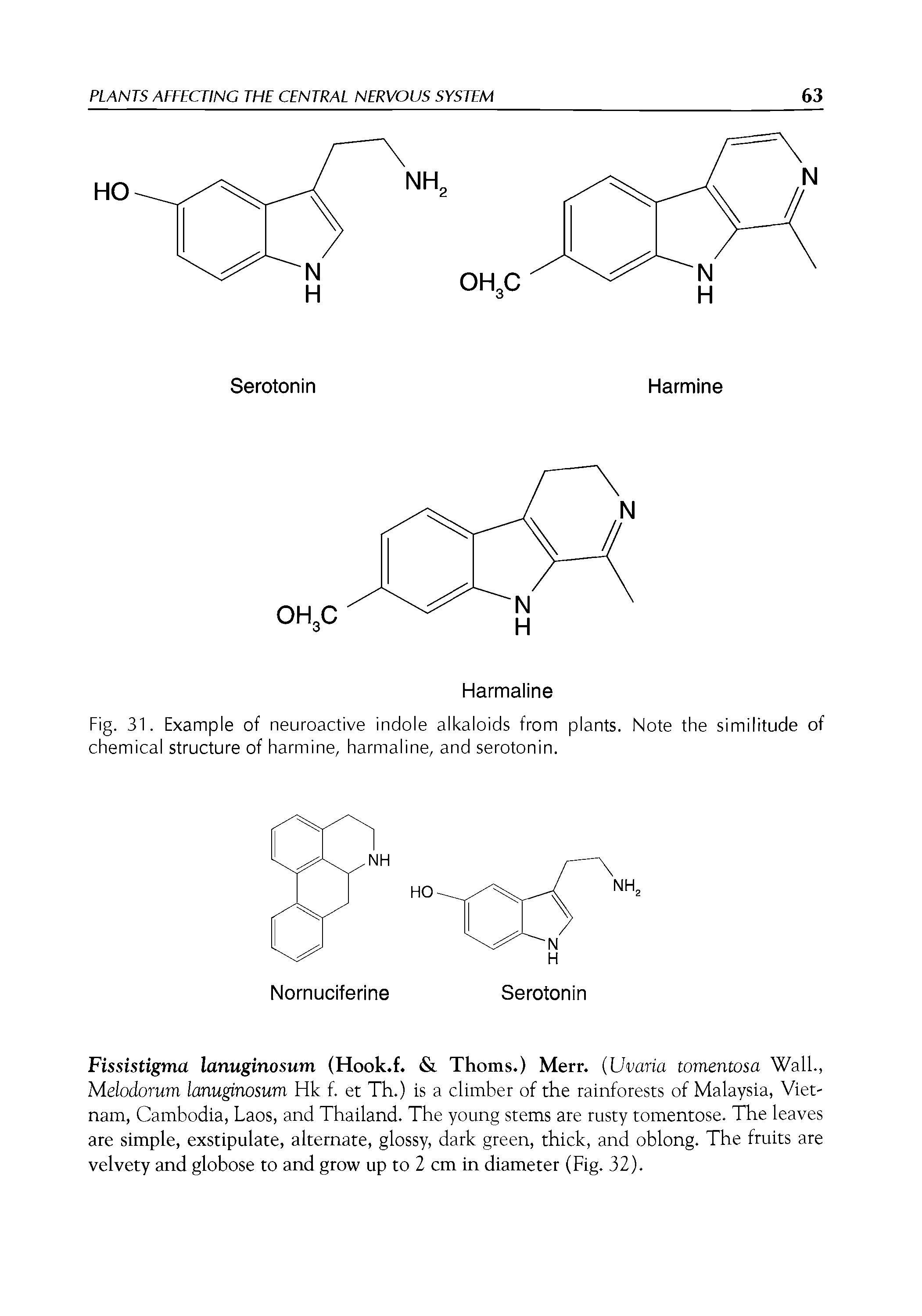 Fig. 31. Example of neuroactive indole alkaloids from plants. Note the similitude of chemical structure of harmine, harmaline, and serotonin.