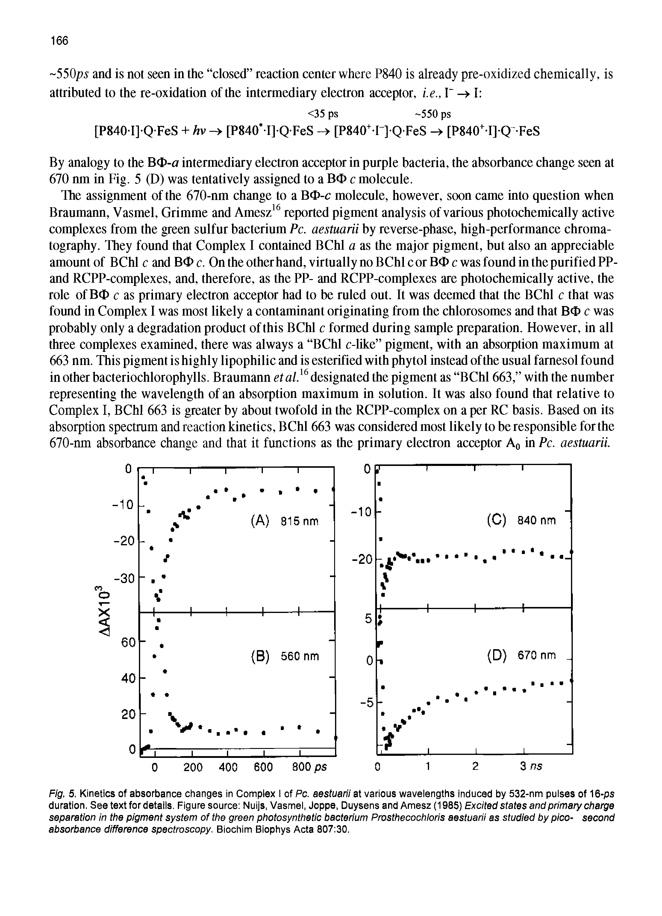 Fig. 5. Kinetics of absorbance changes in Complex I of Pc. aestuarii at various waveiengths induced by 532-nm puises of 16-ps duration. See text for details. Figure source Nuijs, Vasmei, Joppe, Duysens and Amesz (1985) Excited states and primary charge separation in the pigment system of the green photosynthetic bacterium Prosthecochloris aestuarii as studied by pico- second absorbance difference spectroscopy. Biochim Biophys Acta 807 30.