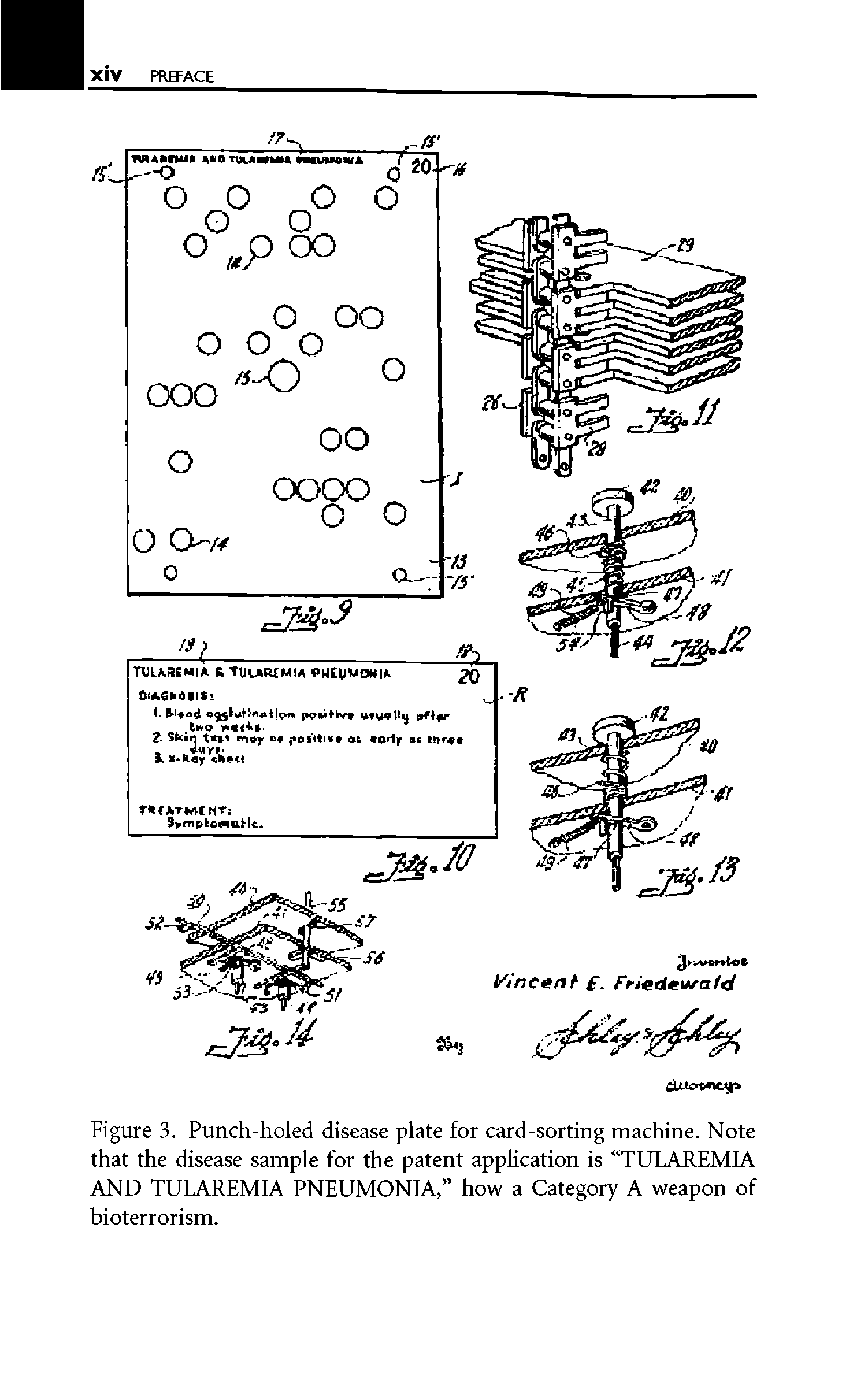 Figure 3. Punch-holed disease plate for card-sorting machine. Note that the disease sample for the patent application is TULAREMIA AND TULAREMIA PNEUMONIA, how a Category A weapon of bioterrorism.