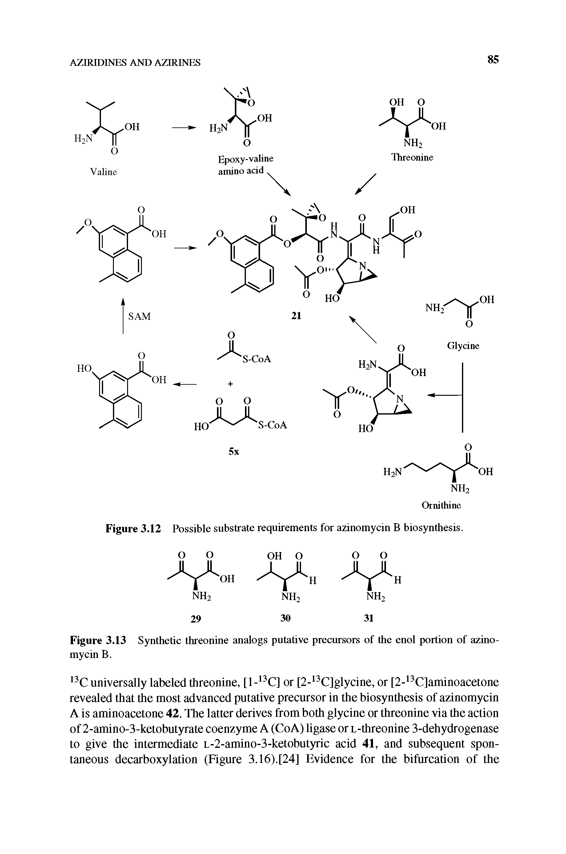 Figure 3.13 Synthetic threonine analogs putative precursors of the enol portion of azinomycin B.