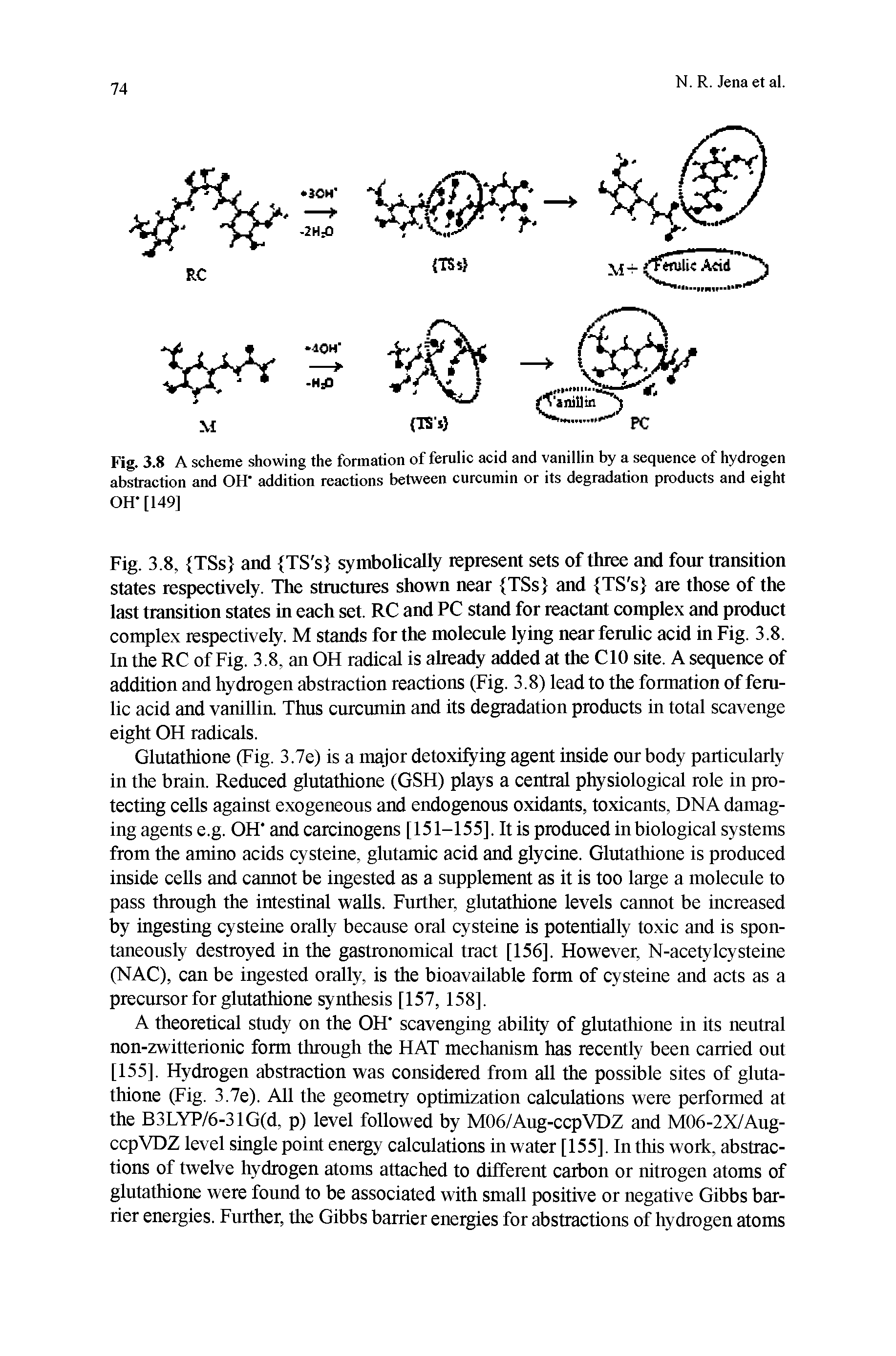 Fig. 3.8 A scheme showing the formation of ferulic acid and vanillin by a sequence of hydrogen abstraction and OH" addition reactions between curcumin or its degradation products and eight OH [149]...