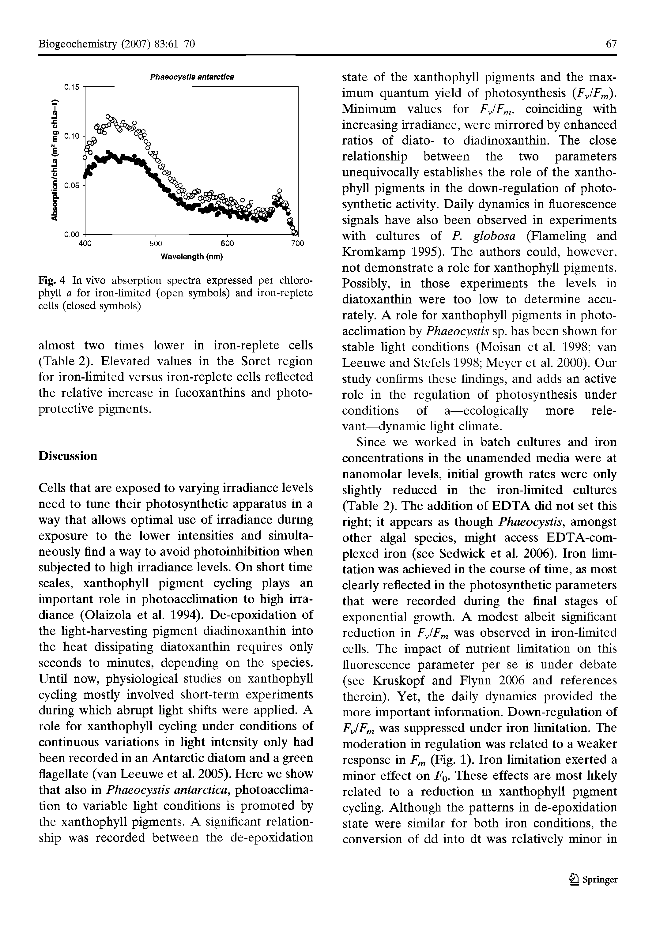 Fig. 4 In vivo absorption spectra expressed per chlorophyll a for iron-limited (open symbols) and iron-replete cells (closed symbols)...