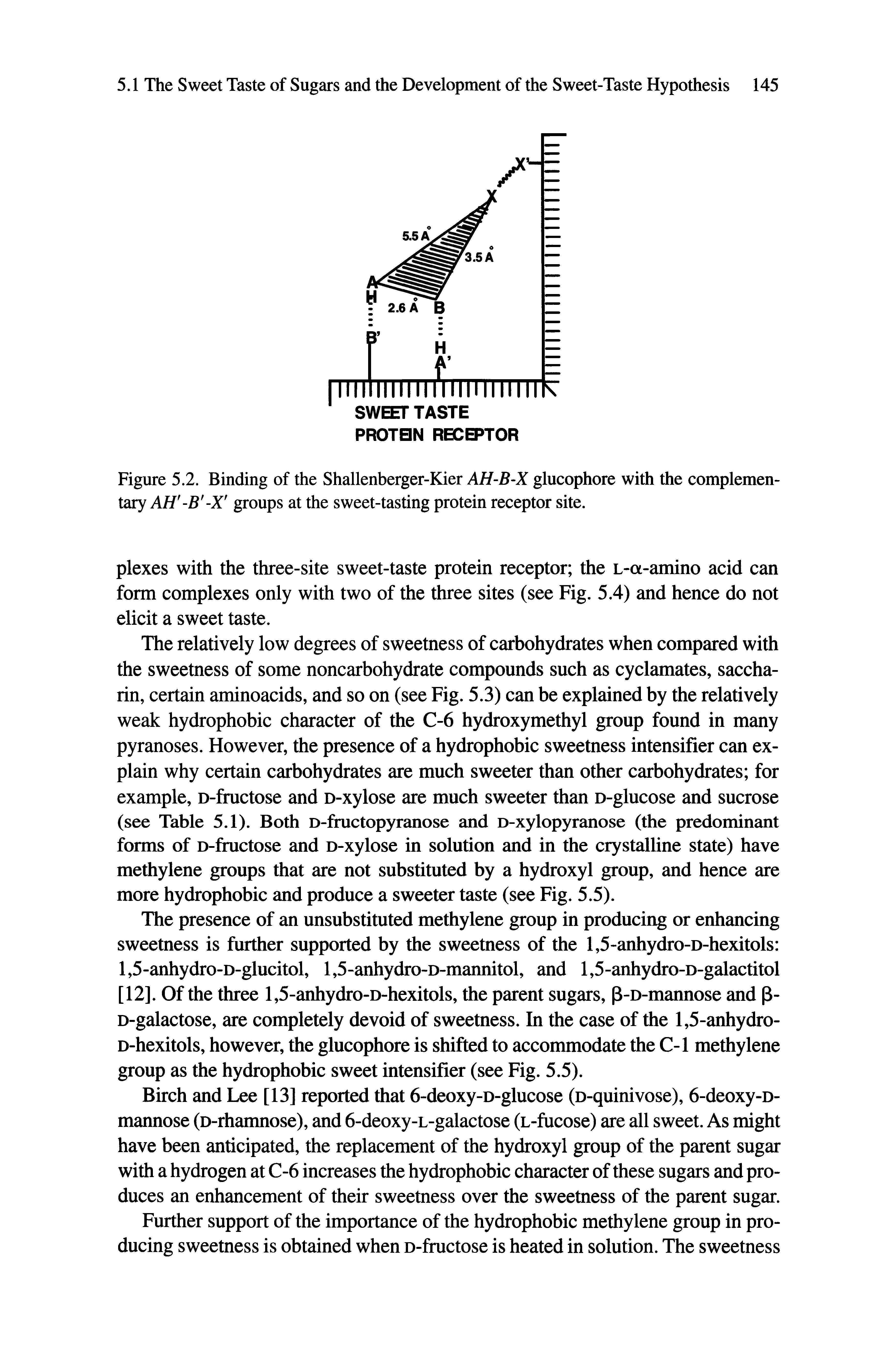Figure 5.2. Binding of the Shallenberger-Kier AH-B-X glucophore with the complementary AH -B -X groups at the sweet-tasting protein receptor site.