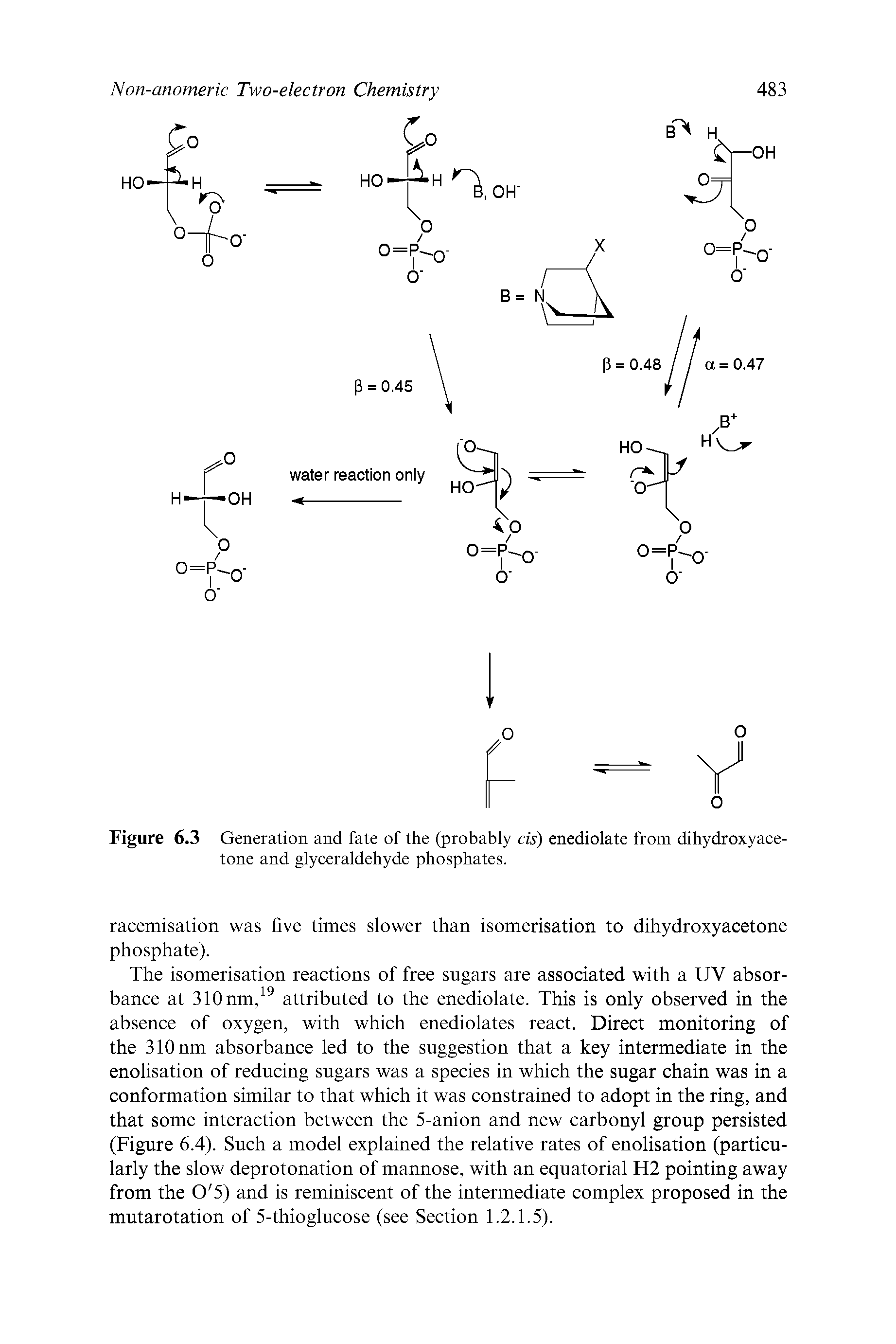 Figure 6.3 Generation and fate of the (probably cis) enediolate from dihydroxyace-tone and glyceraldehyde phosphates.
