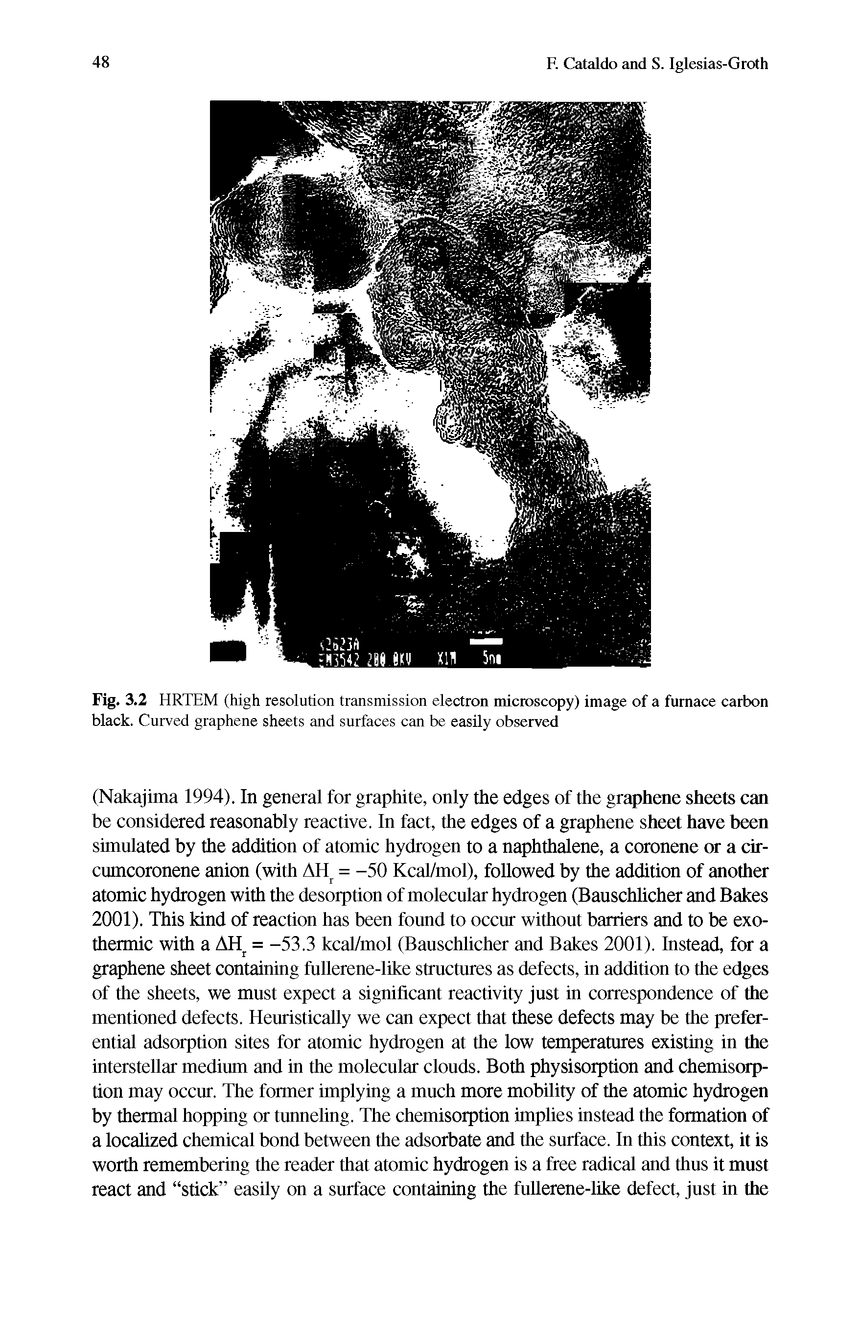 Fig. 3.2 HRTEM (high resolution transmission electron microscopy) image of a furnace carbon black. Curved graphene sheets and surfaces can be easily observed...