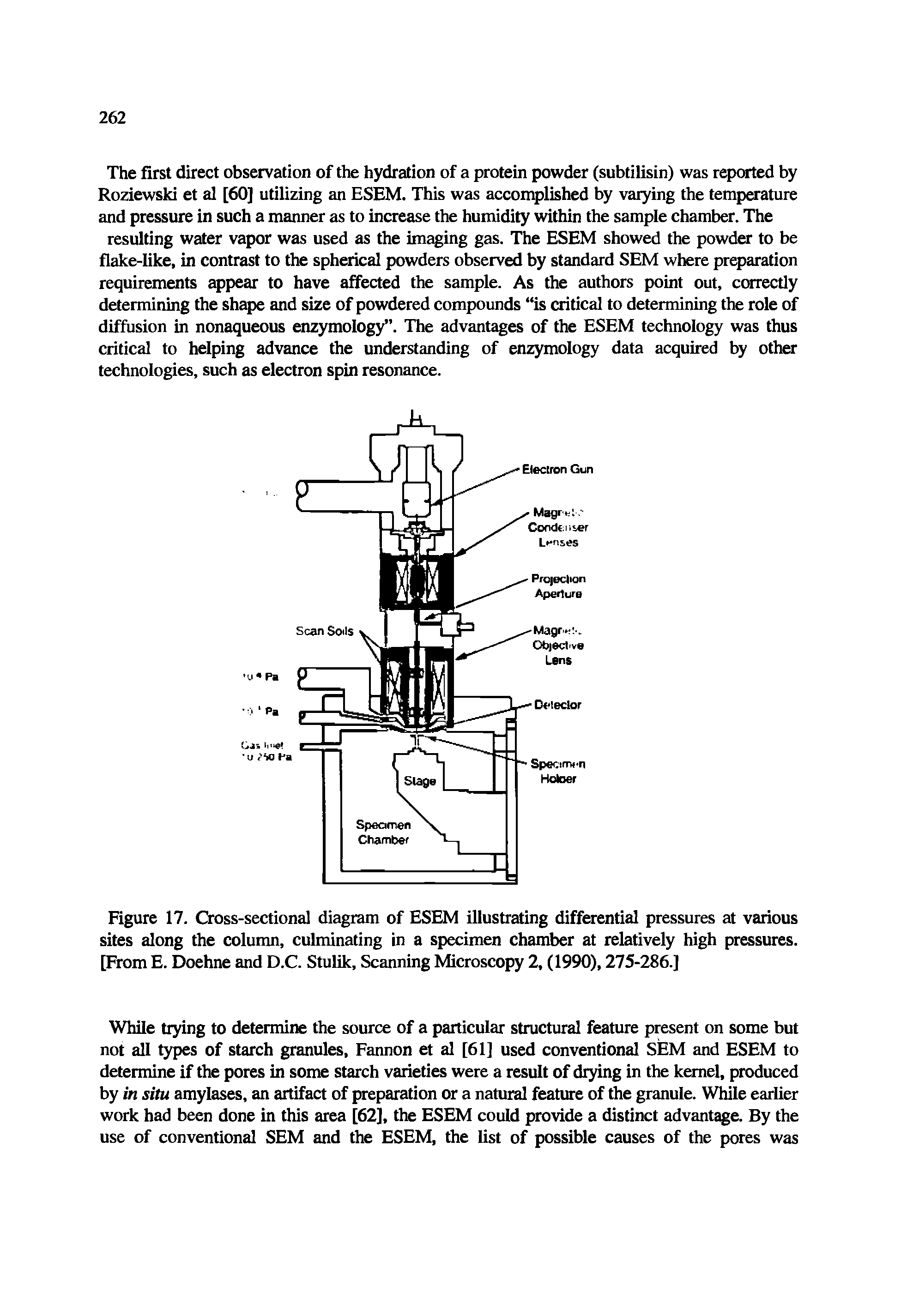 Figure 17. Cross-sectional diagram of ESEM illustrating differential pressures at various sites along the column, culminating in a specimen chamber at relatively high pressures. [From E. Doehne and D.C. Stulik, Scanning Microscopy 2, (1990), 275-286.]...