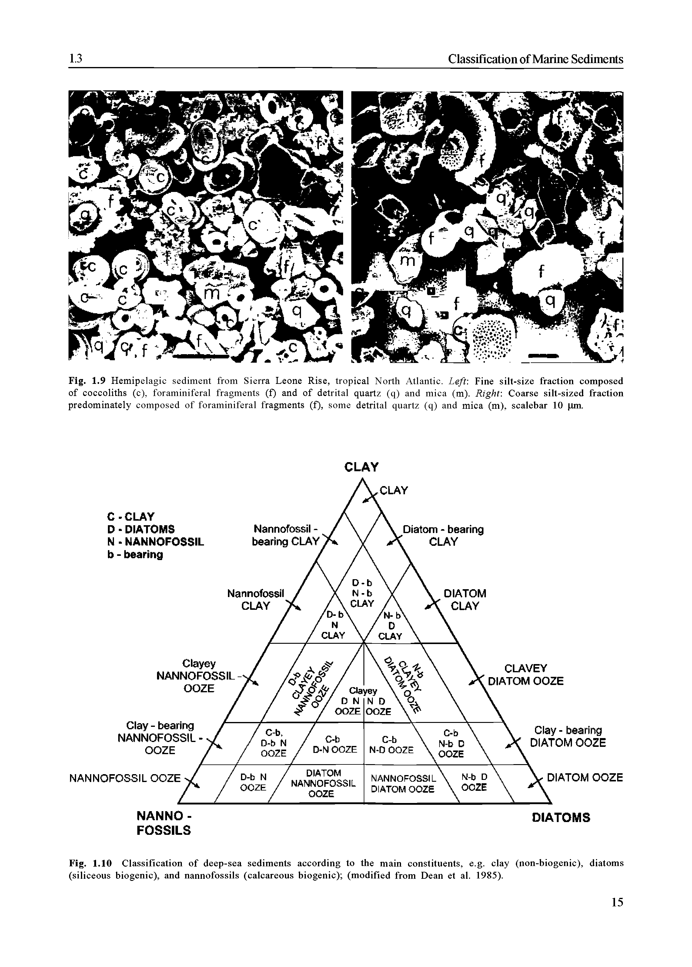 Fig. 1.10 Classification of deep-sea sediments according to the main constituents, e.g. clay (non-biogenic), diatoms (siliceous biogenic), and nannofossils (calcareous biogenic) (modified from Dean et al. 1985).