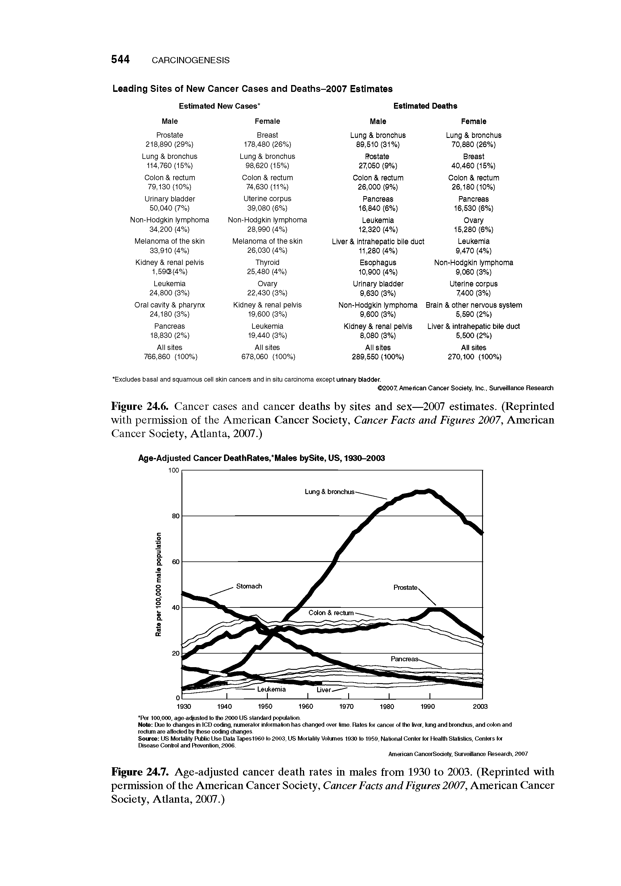 Figure 24.7. Age-adjusted cancer death rates in males from 1930 to 2003. (Reprinted with permission of the American Cancer Society, Cancer Facts and Figures 2007, American Cancer Society, Atlanta, 2007.)...