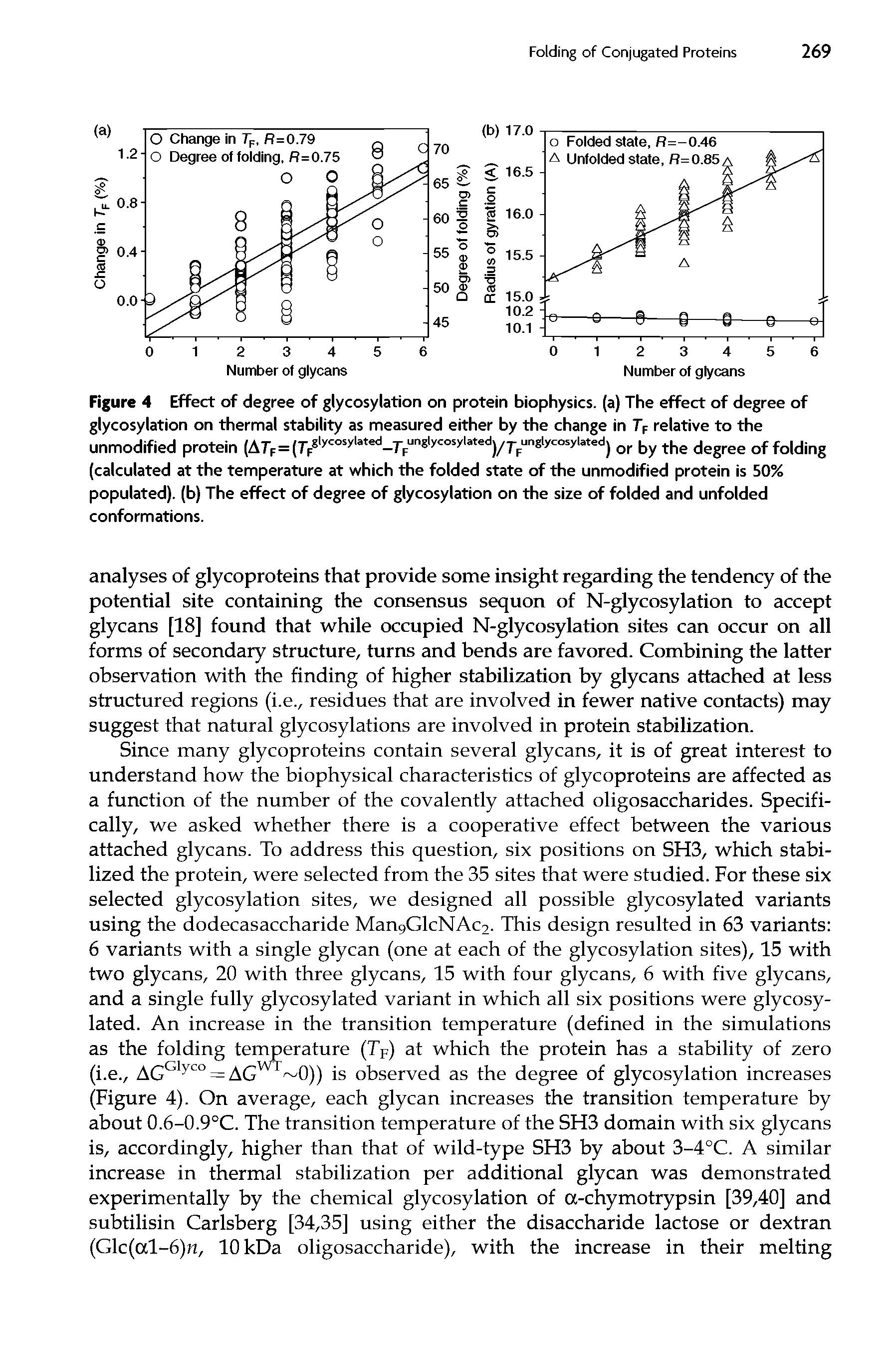 Figure 4 Effect of degree of glycosylation on protein biophysics, (a) The effect of degree of glycosylation on thermal stability as measured either by the change in TF relative to the unmodified protein (ArF=(TF lycosylated-TFunslycosylated)/rFun l) cos) lated) or by the degree of folding (calculated at the temperature at which the folded state of the unmodified protein is 50% populated), (b) The effect of degree of glycosylation on the size of folded and unfolded conformations.