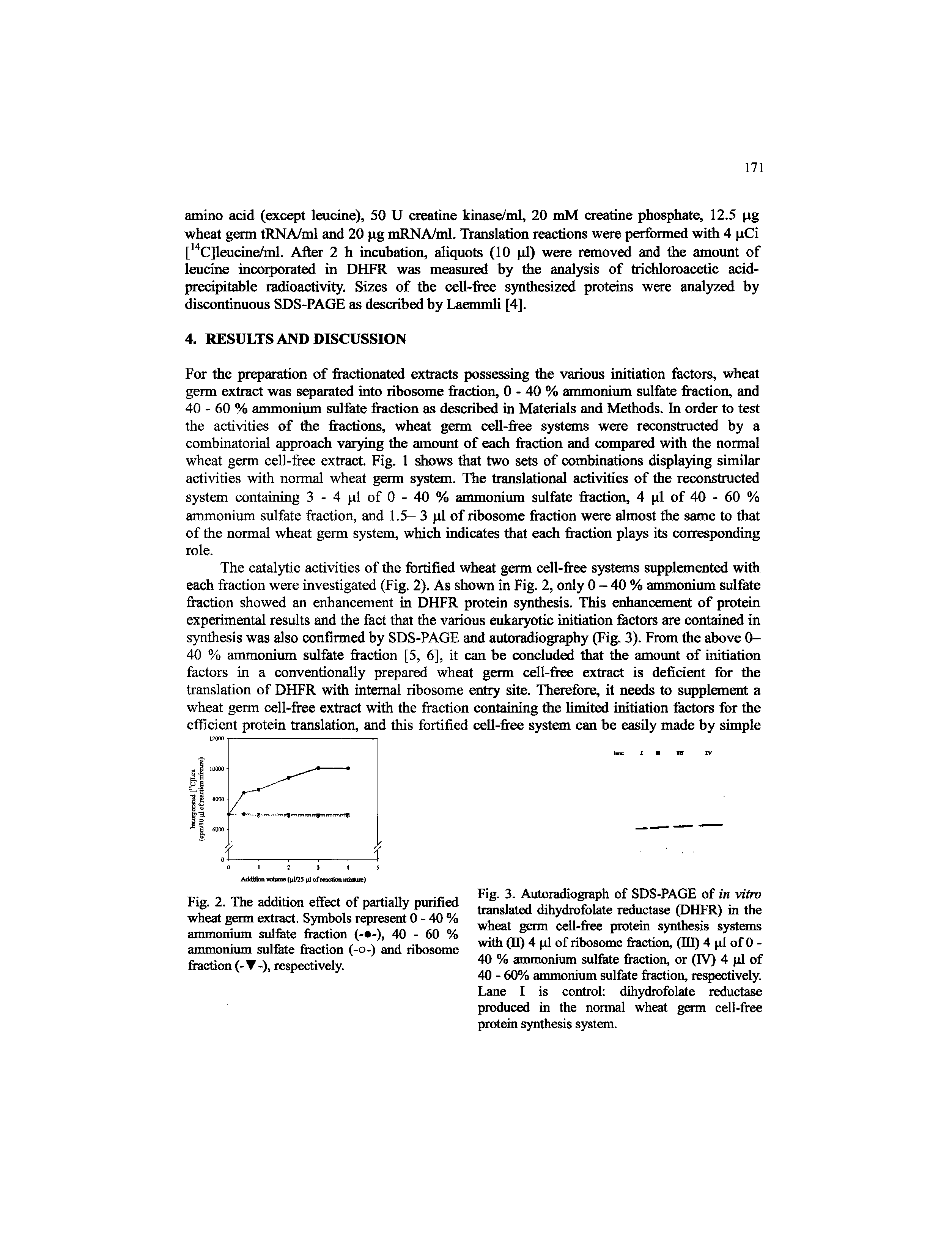 Fig. 3. Autoradiograph of SDS-PAGE of in vitro translated dihydrofolate reductase (DHFR) in the wheat germ cell-free protein synthesis systems with (n) 4 pi of ribosome fiaction, (III) 4 pi of 0 -40 % ammonium sulfate fraction, or (IV) 4 pi of 40 - 60% ammonium sulfate fraction, respectively. Lane I is control dihydrofolate reductase produced in the normal wheat germ cell-free protein synthesis system.