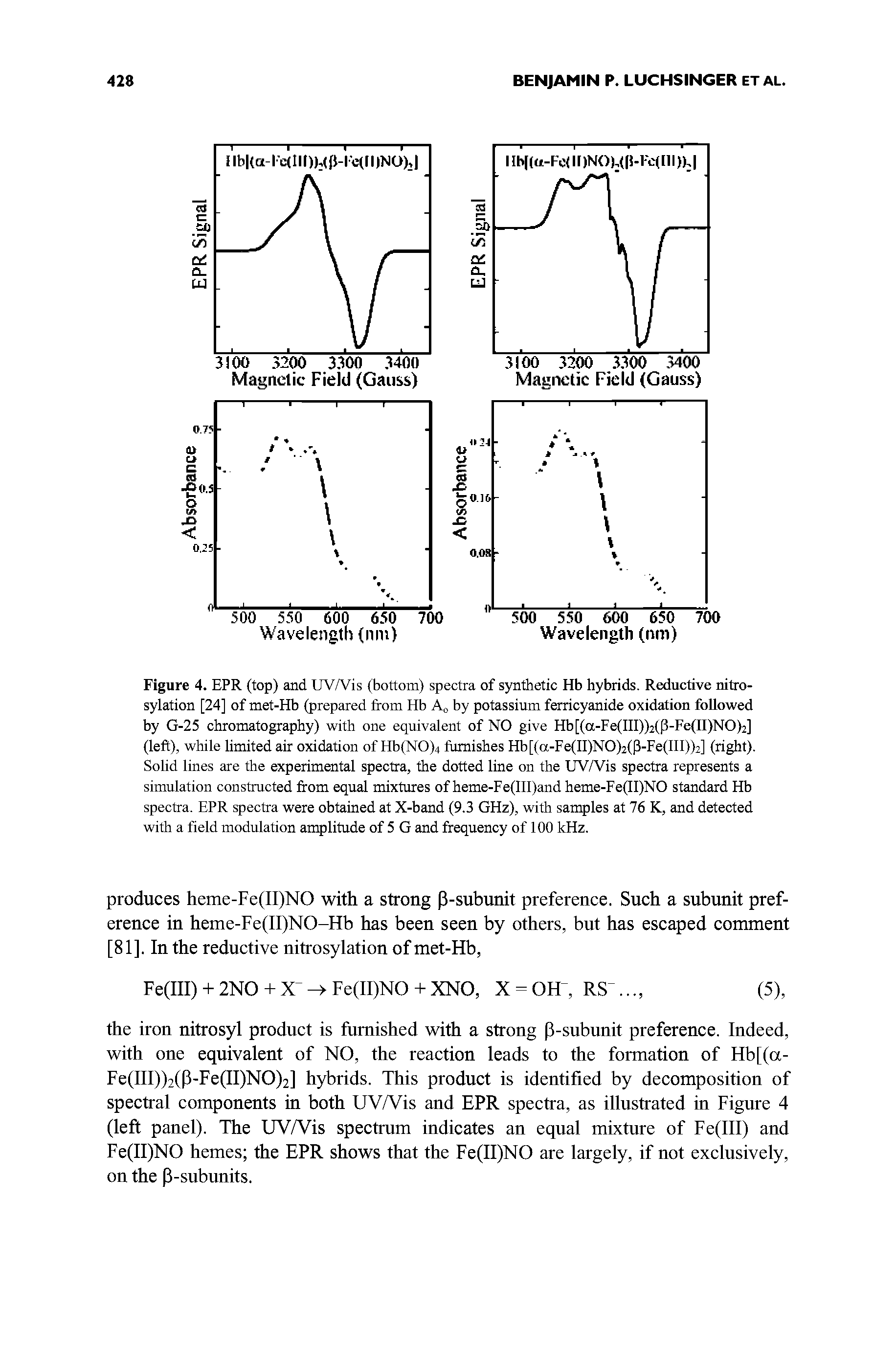 Figure 4. EPR (top) and UV/Vis (bottom) spectra of synthetic Hb hybrids. Reductive nitro-sylation [24] of met-Hb (prepared from Hb A<, by potassium ferricyanide oxidation foilowed by G-25 chromatography) with one equivalent of NO give Hb[(a-Fe(III))2(P-Fe(II)NO)2] (left), while limited air oxidation of Hb(NO)4 furnishes Hb[(a-Fe(II)NO)2(P-Fe(III))2] (right). SoUd lines are the experimental spectra, the dotted line on the UVA is spectra represents a simulation constructed from equal mixtures of heme-Fe(lll)and heme-Fe(II)NO standard Hb spectra. EPR spectra were obtained at X-band (9.3 GHz), with sanities at 76 K, and detected with a field modulation anqilitude of 5 G and frequency of 100 kHz.