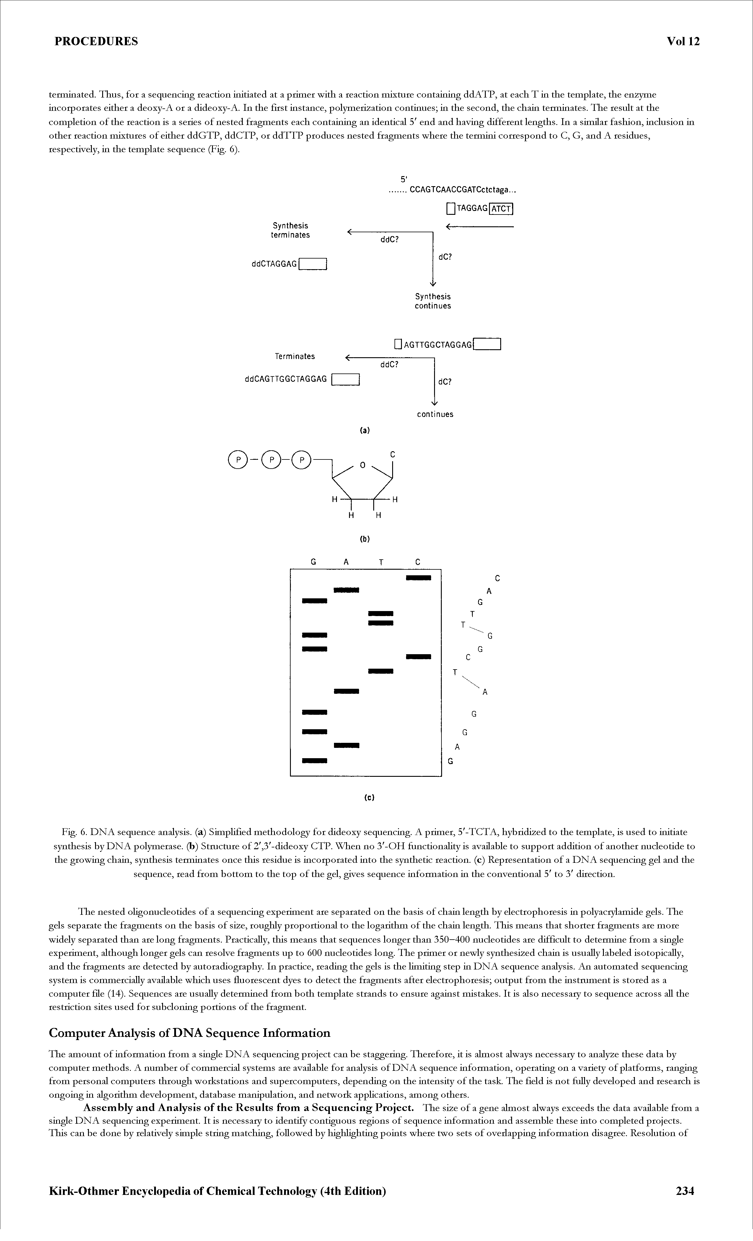 Fig. 6. DNA sequence analysis, (a) Simplified methodology for dideoxy sequencing. A primer, 5 -TCTA, hybridized to the template, is used to initiate synthesis by DNA polymerase, (b) Stmcture of 2, 3 -dideoxy CTP. When no 3 -OH functionaUty is available to support addition of another nucleotide to the growing chain, synthesis terminates once this residue is incorporated into the synthetic reaction, (c) Representation of a DNA sequencing gel and the sequence, read from bottom to the top of the gel, gives sequence information in the conventional 5 to 3 direction.