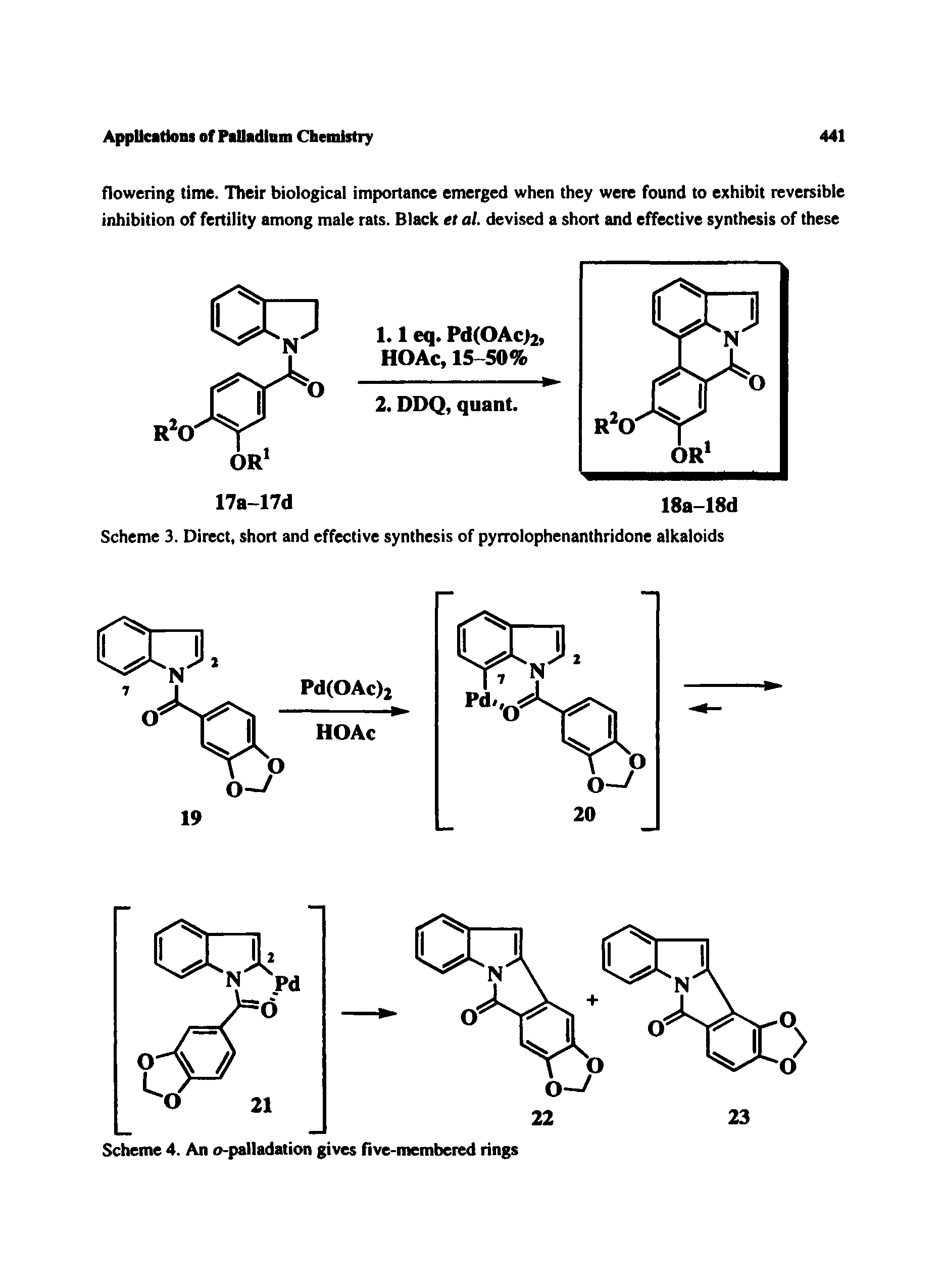 Scheme 3. Direct, short and effective synthesis of pyrrolophenanthridone alkaloids...