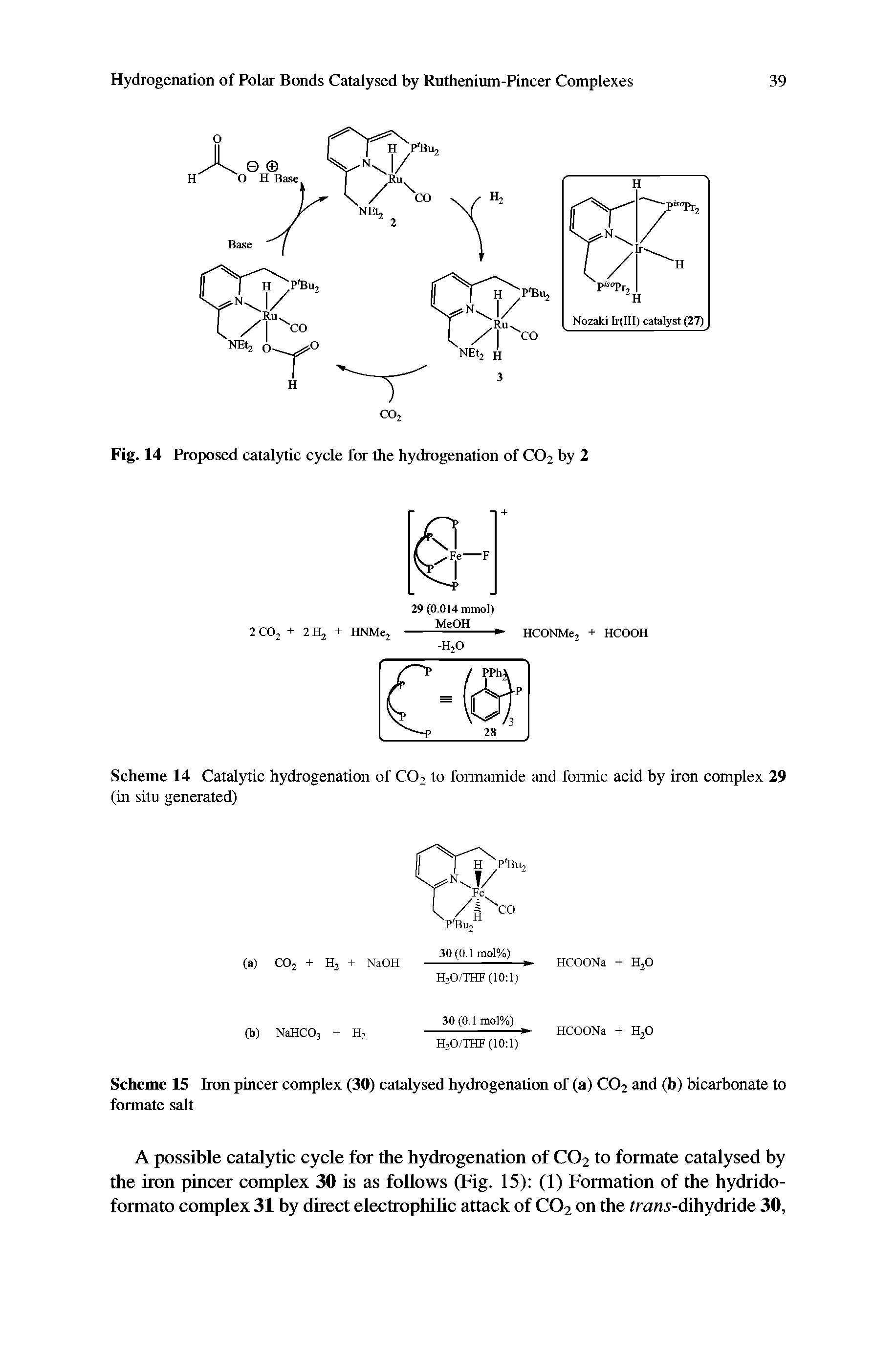 Scheme 15 Iron pincer complex (30) catalysed hydrogenation of (a) CO2 and (b) bicarbonate to formate salt...