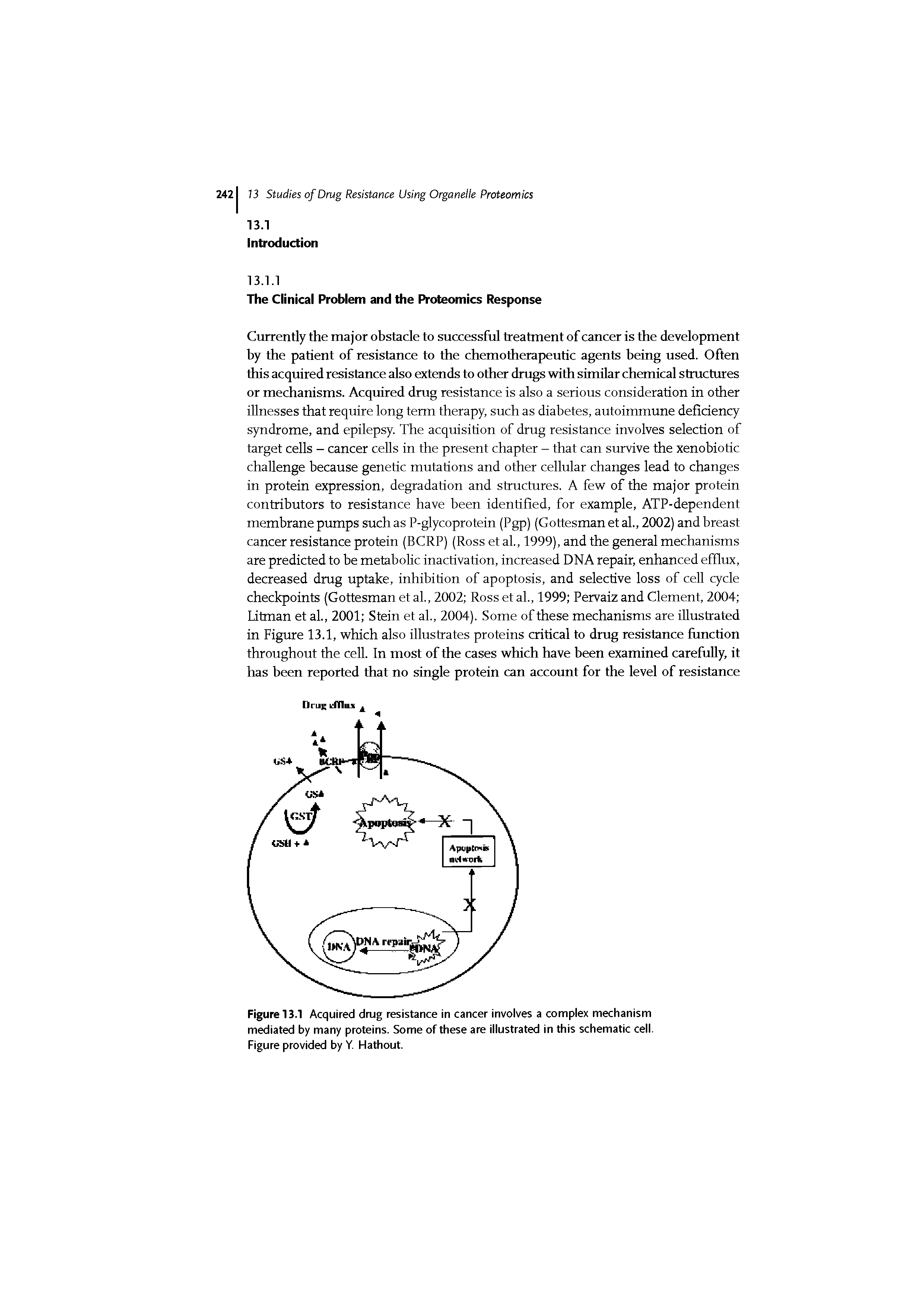 Figure 13.1 Acquired drug resistance in cancer involves a complex mechanism mediated by many proteins. Some of these are illustrated in this schematic cell. Figure provided by Y. Hathout.
