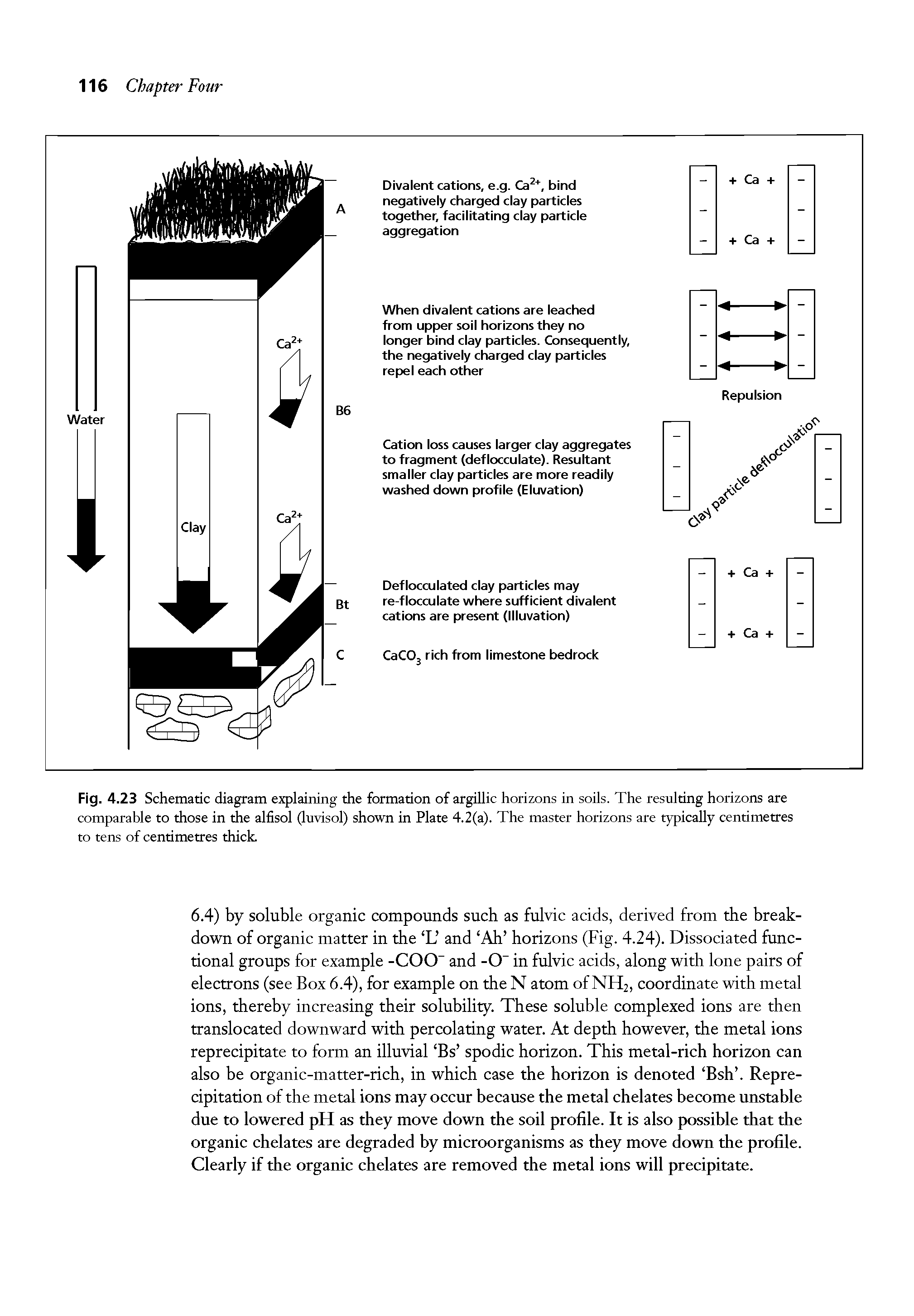 Fig. 4.23 Schematic diagram explaining the formation of argillic horizons in soils. The resulting horizons are comparable to those in the alfisol (luvisol) shown in Plate 4.2(a). The master horizons are typically centimetres to tens of centimetres thick.